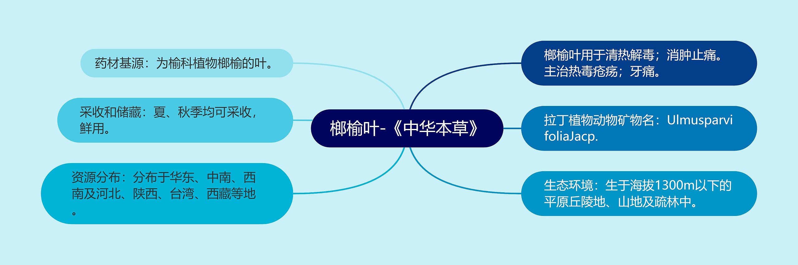 榔榆叶-《中华本草》思维导图