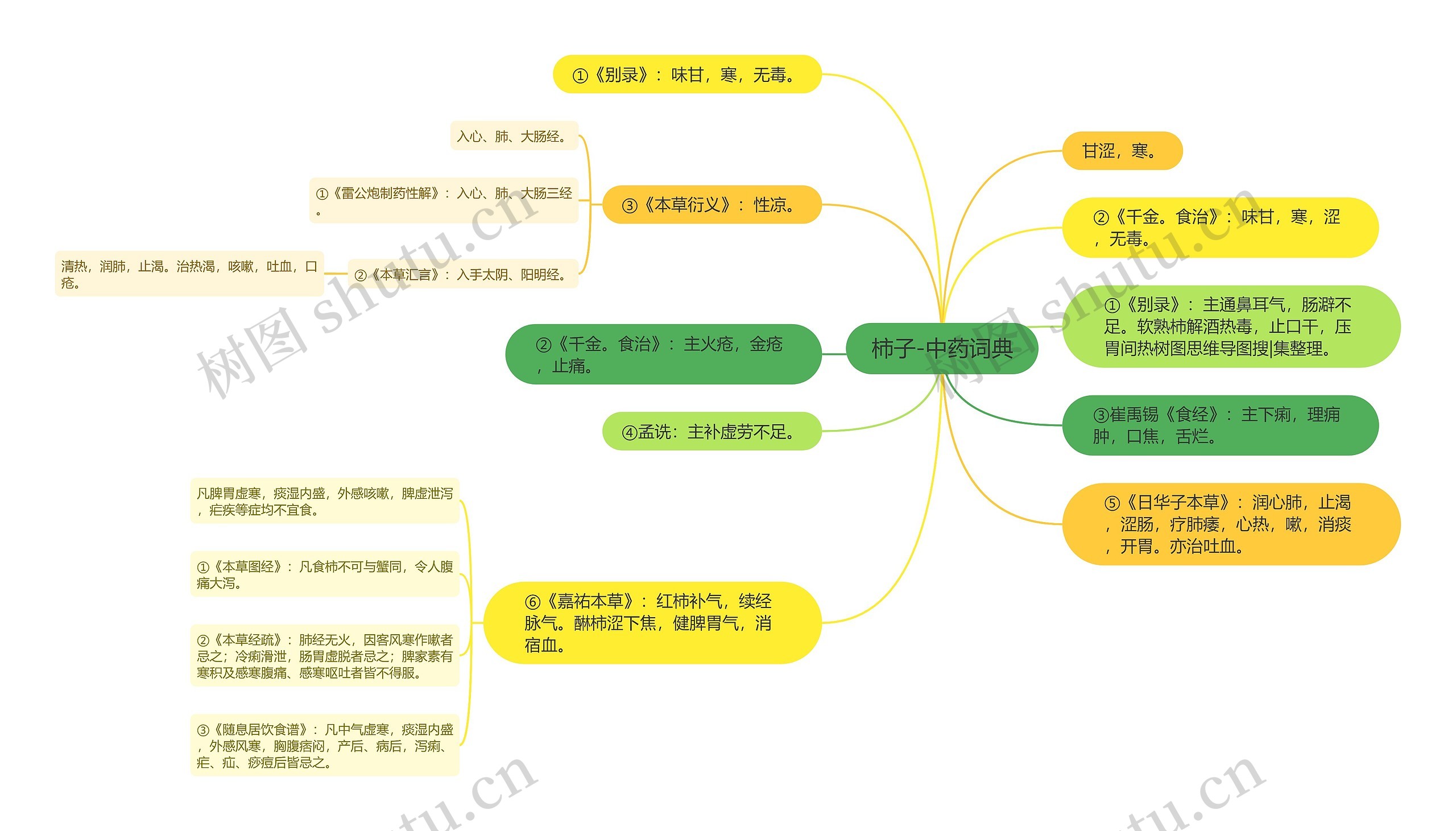 柿子-中药词典思维导图