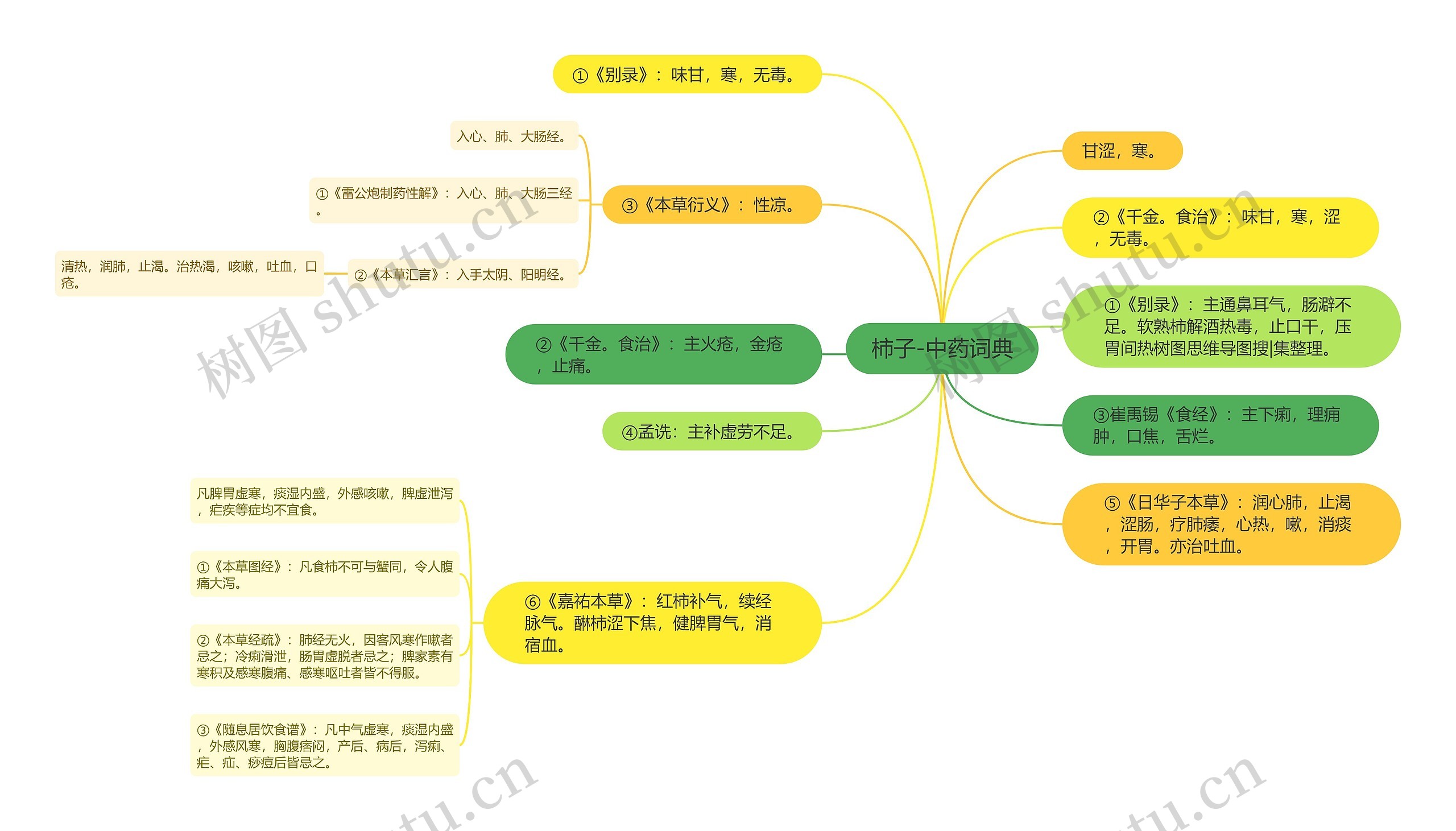 柿子-中药词典 柿子-中药词典
