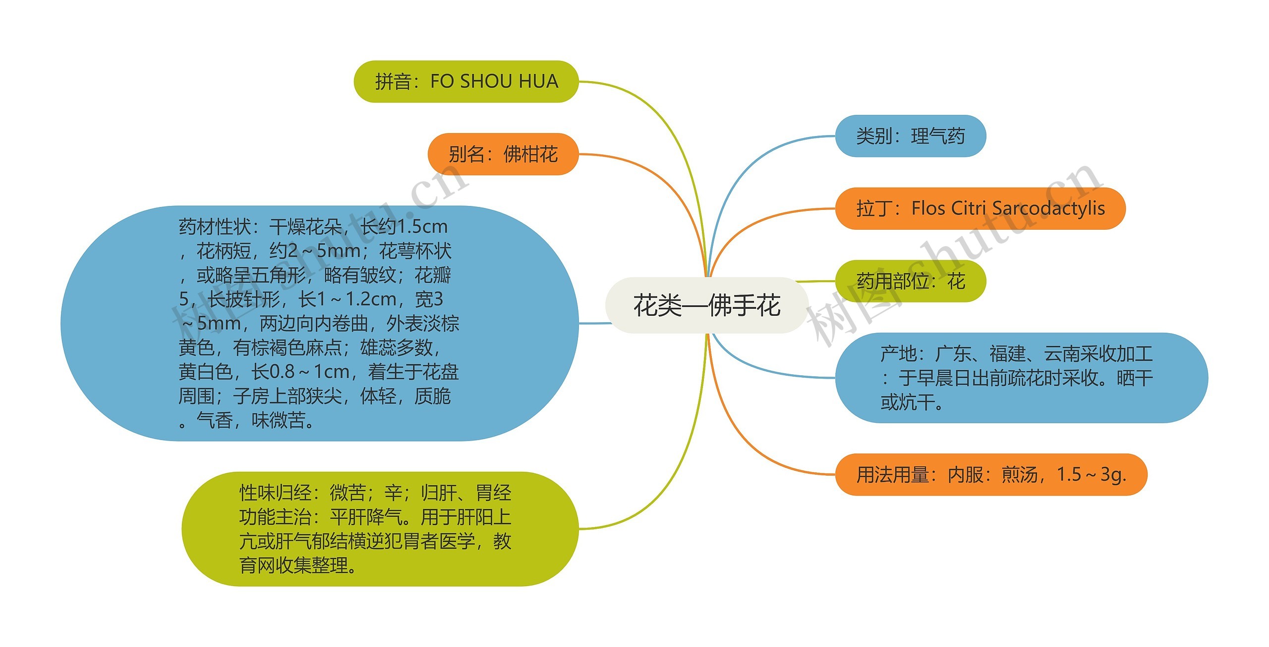 花类—佛手花思维导图