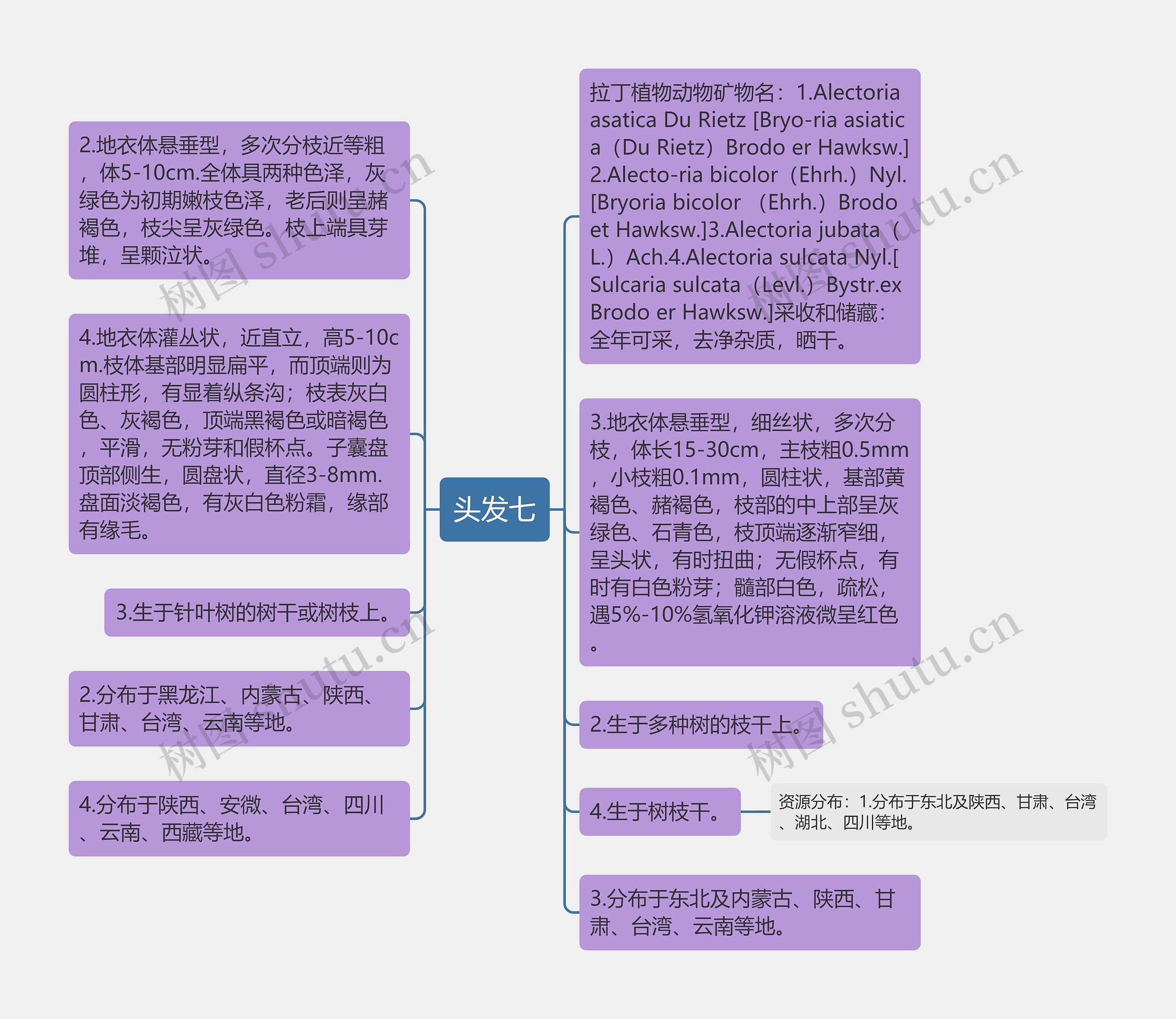 头发七思维导图