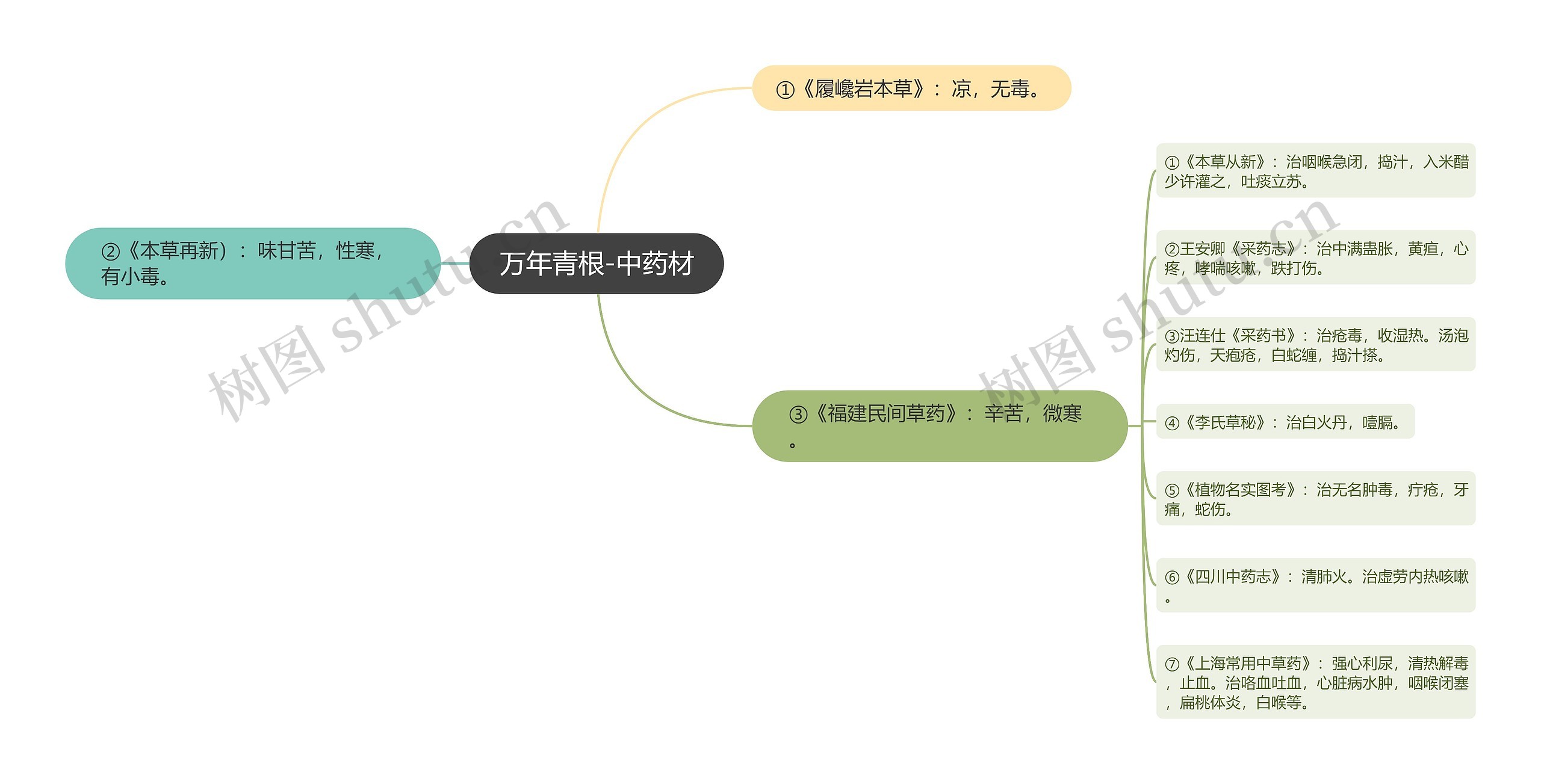 万年青根-中药材思维导图