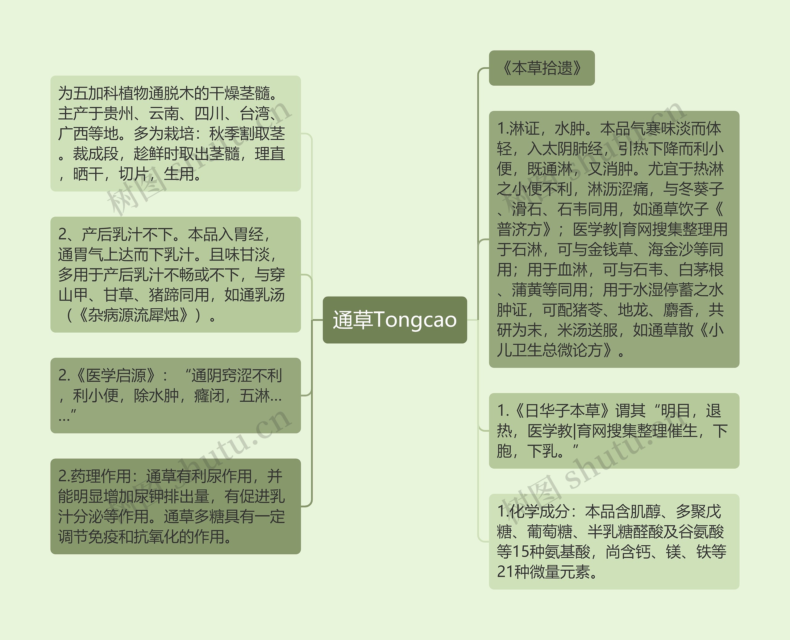 通草Tongcao思维导图