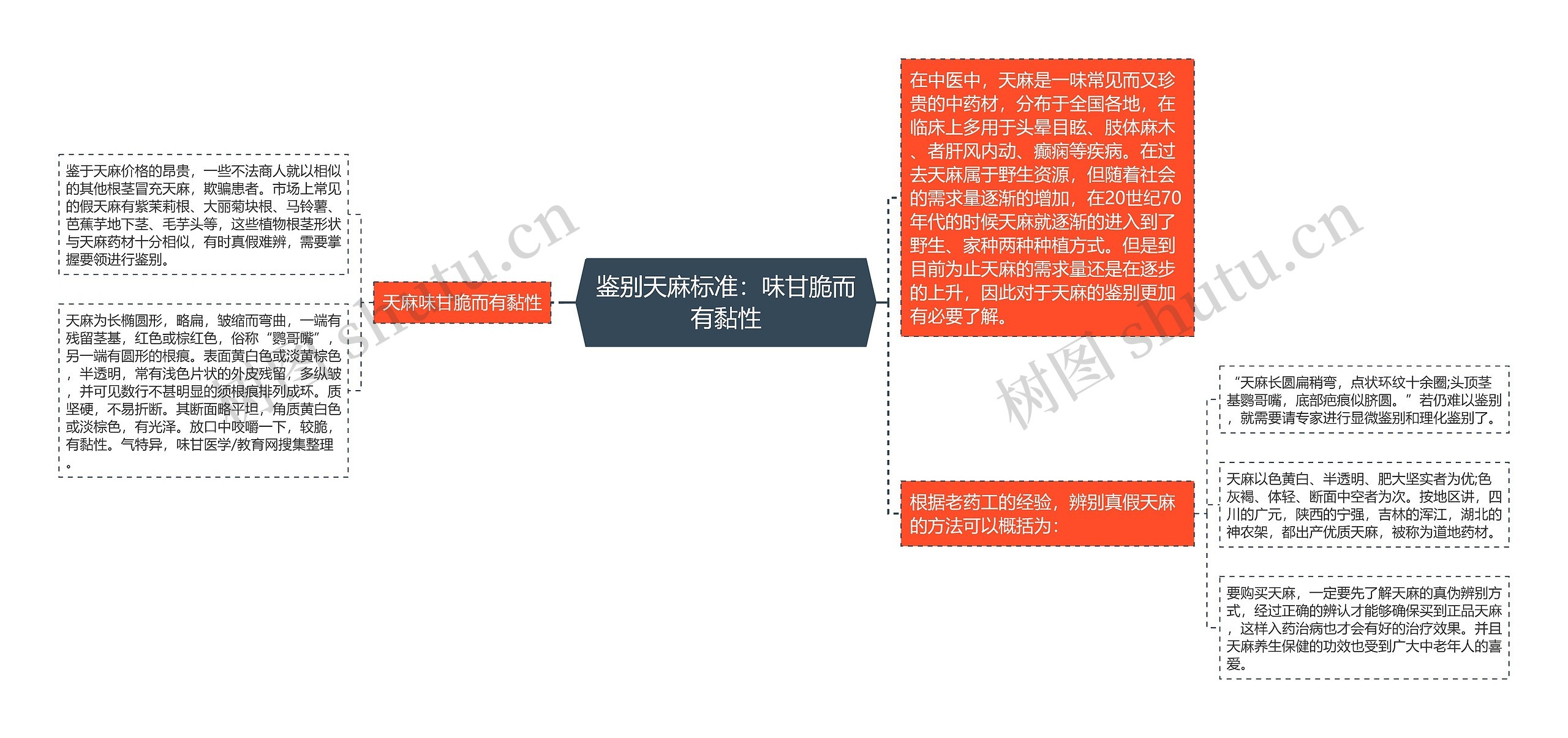 鉴别天麻标准：味甘脆而有黏性思维导图