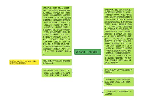 槠子皮叶（止血敛疮）