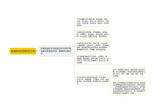 肾病综合征辩证分型