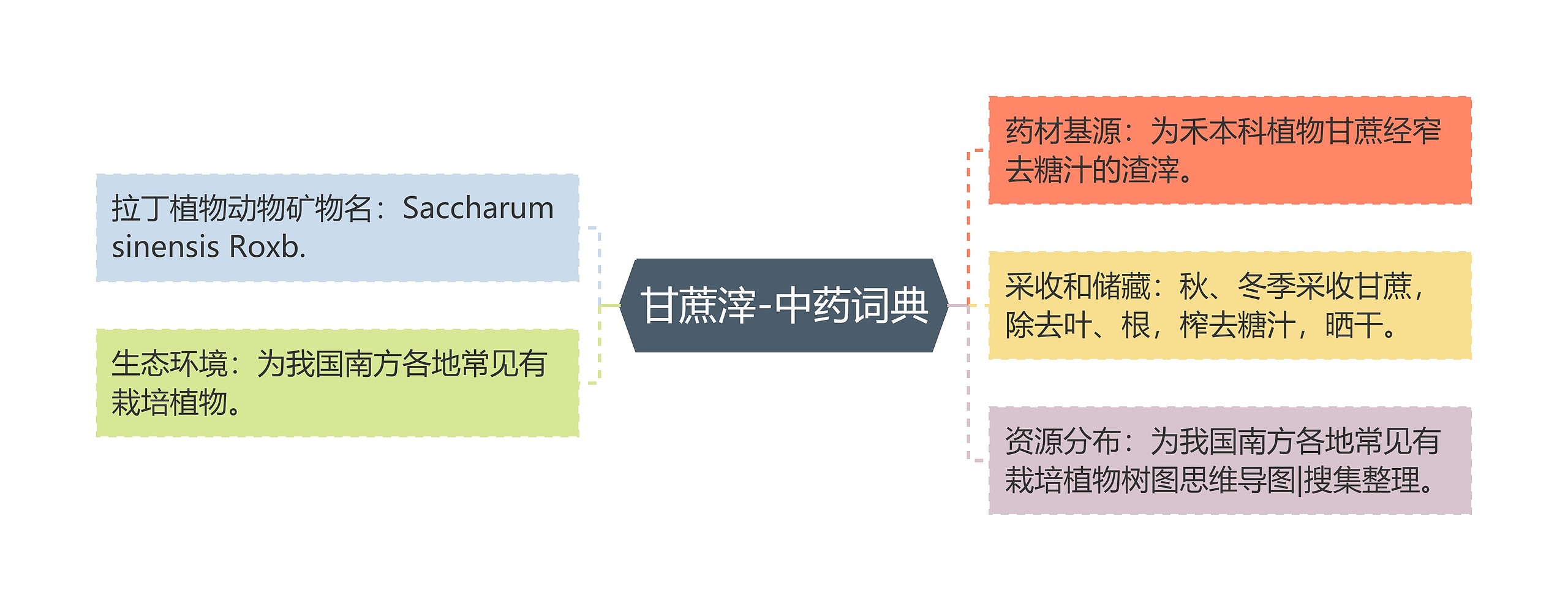 甘蔗滓-中药词典思维导图