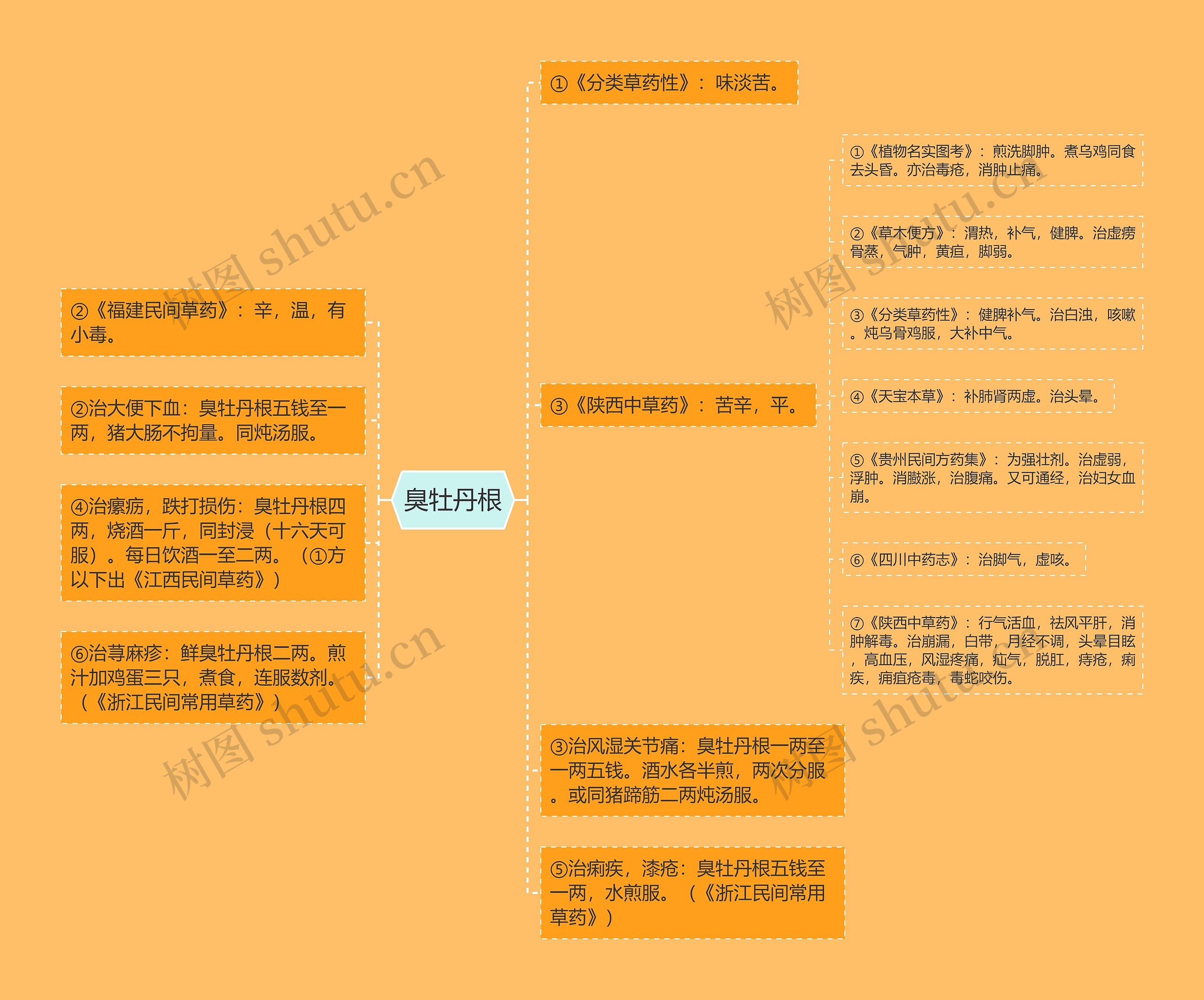 臭牡丹根 臭牡丹根