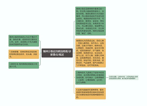 精神分裂症的病因病理/诊断要点/概述