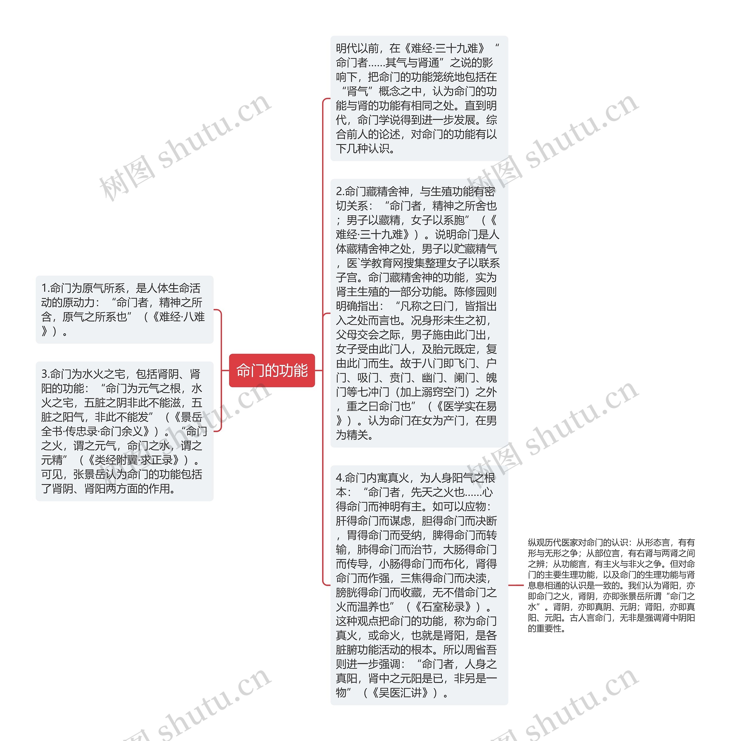 命门的功能思维导图