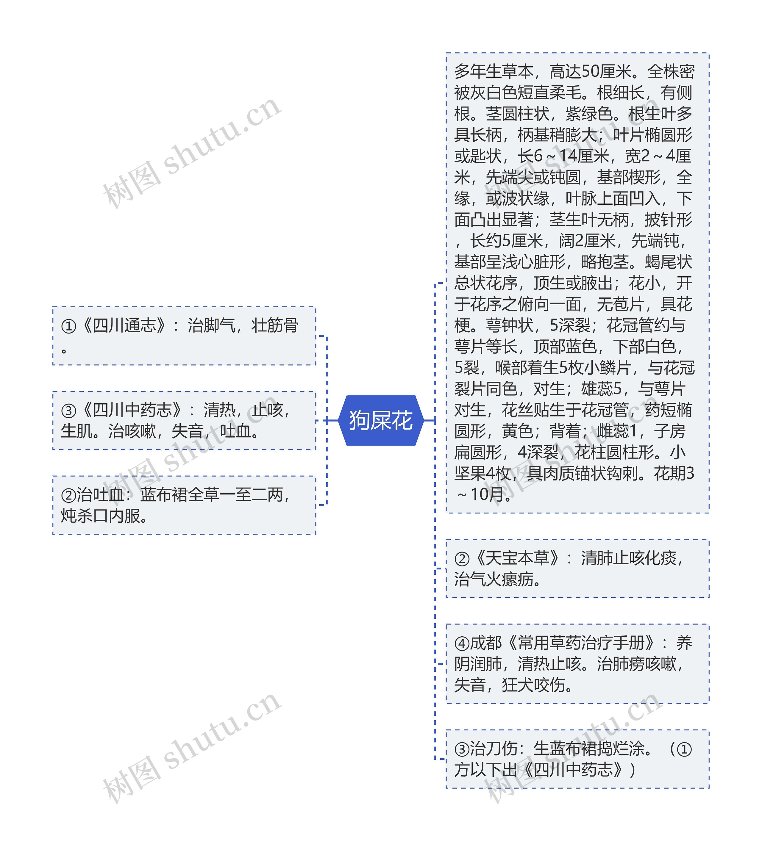 狗屎花思维导图
