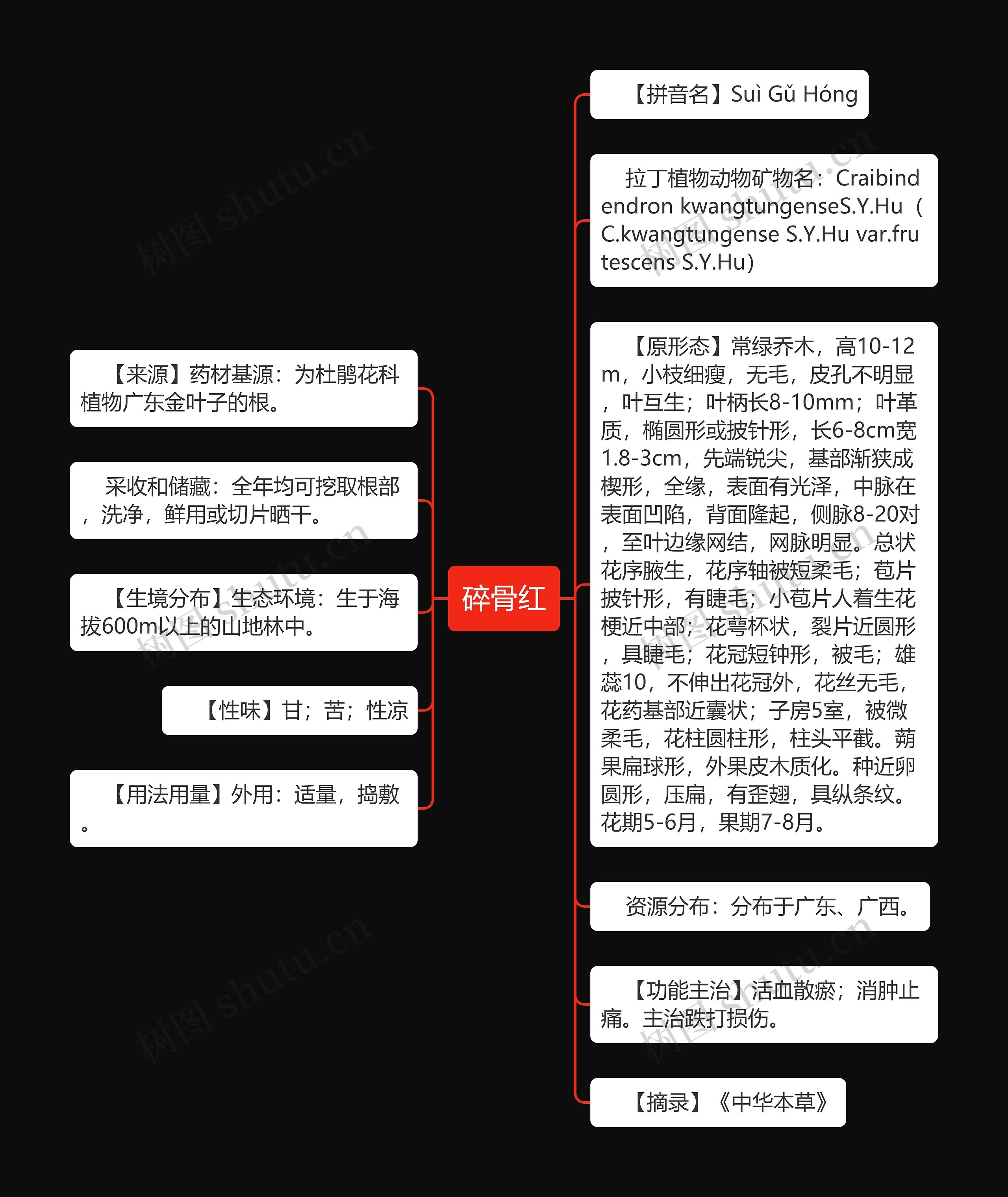 碎骨红思维导图