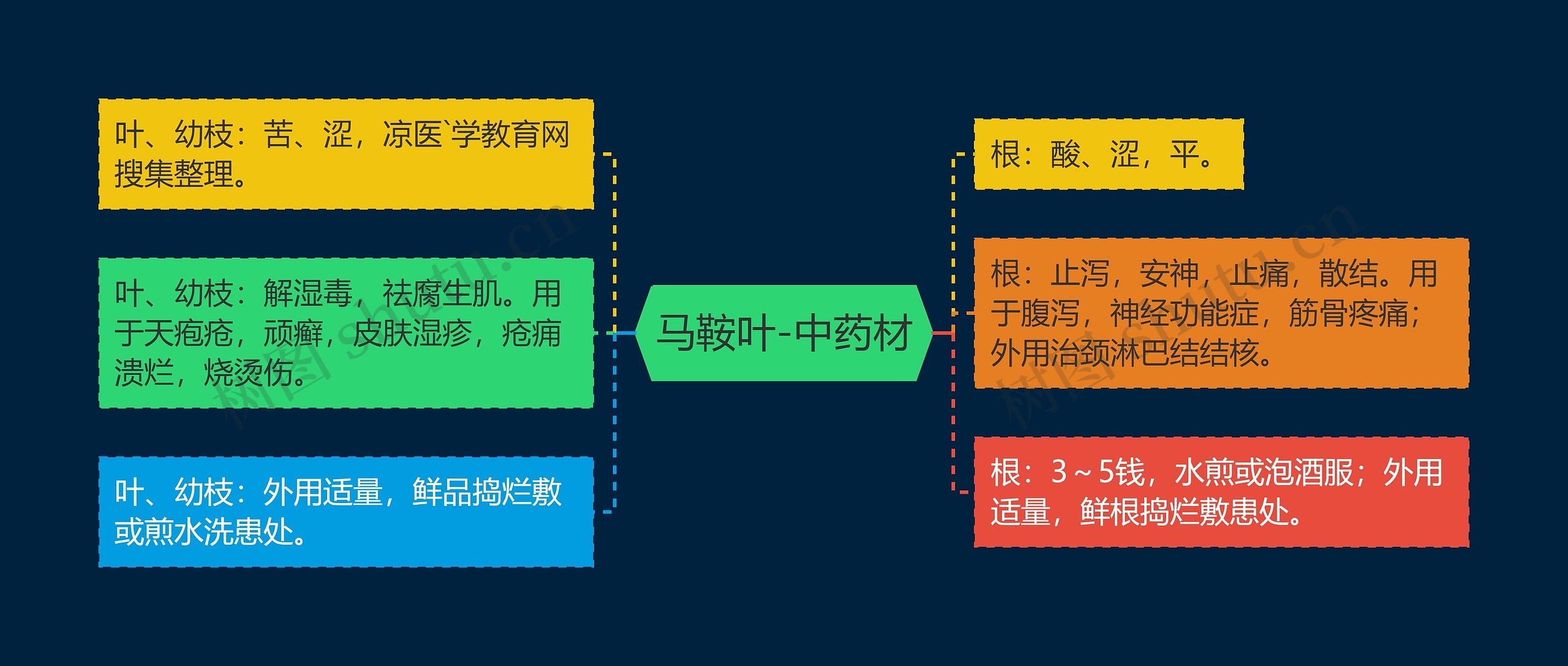 马鞍叶-中药材思维导图