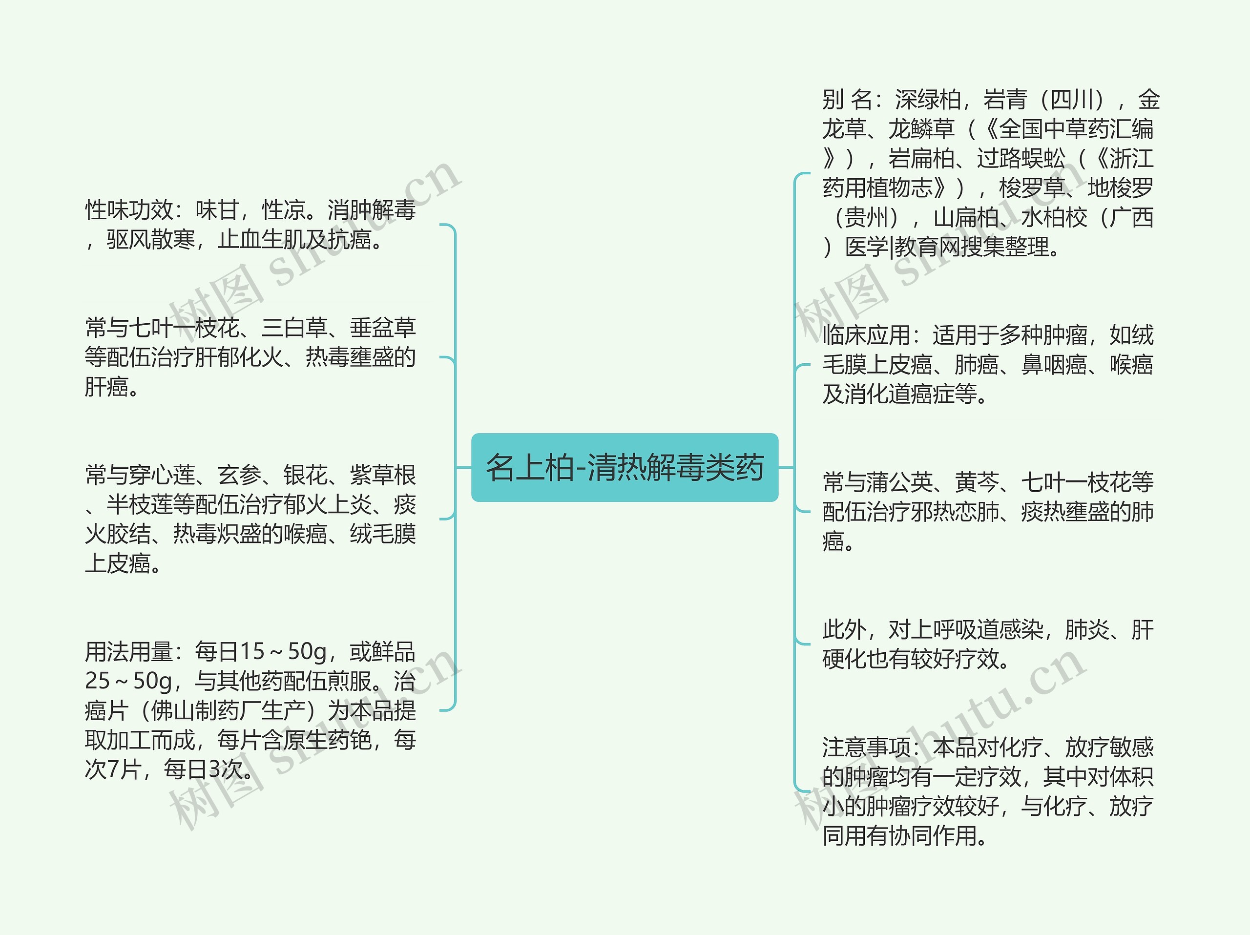 名上柏-清热解毒类药