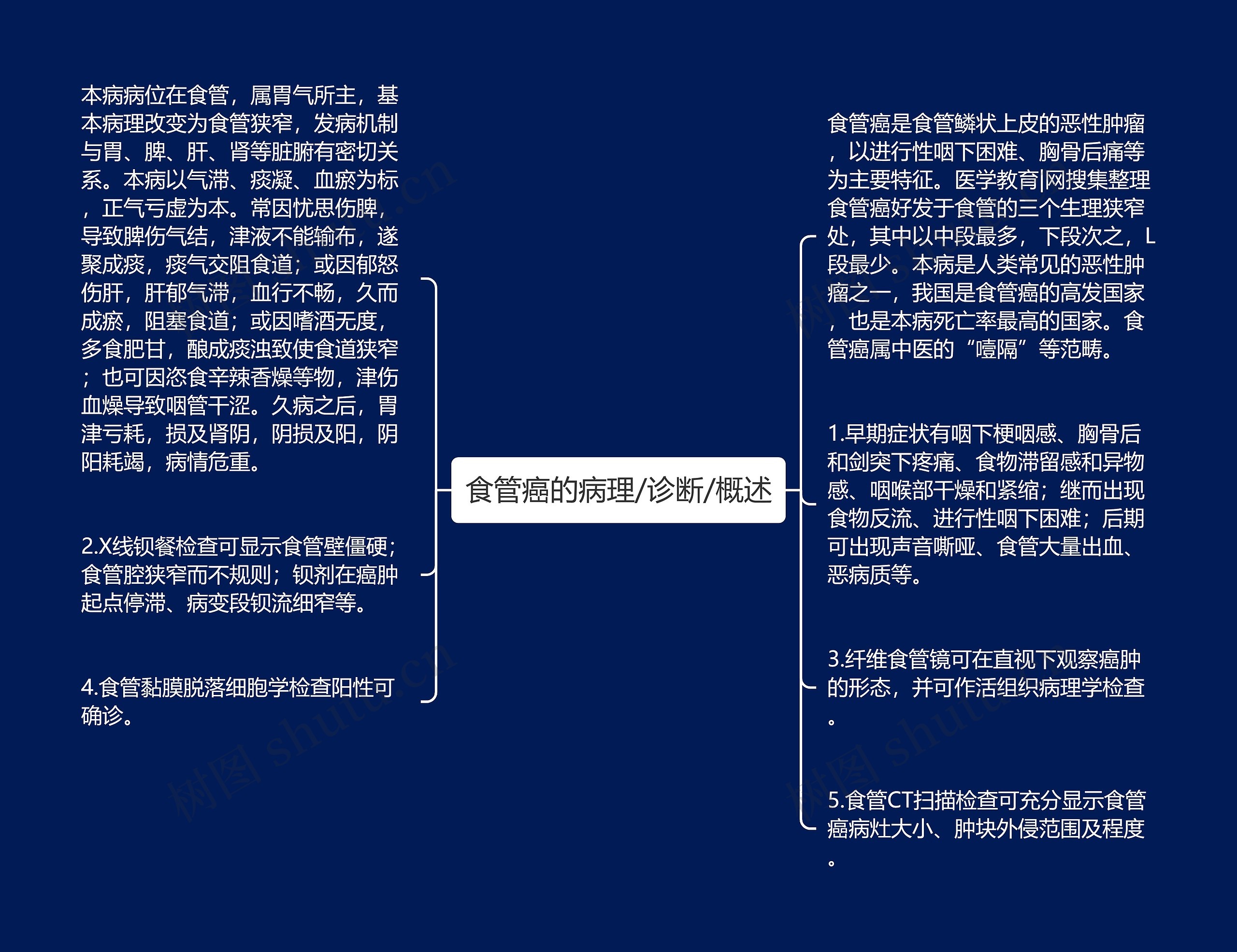 食管癌的病理/诊断/概述