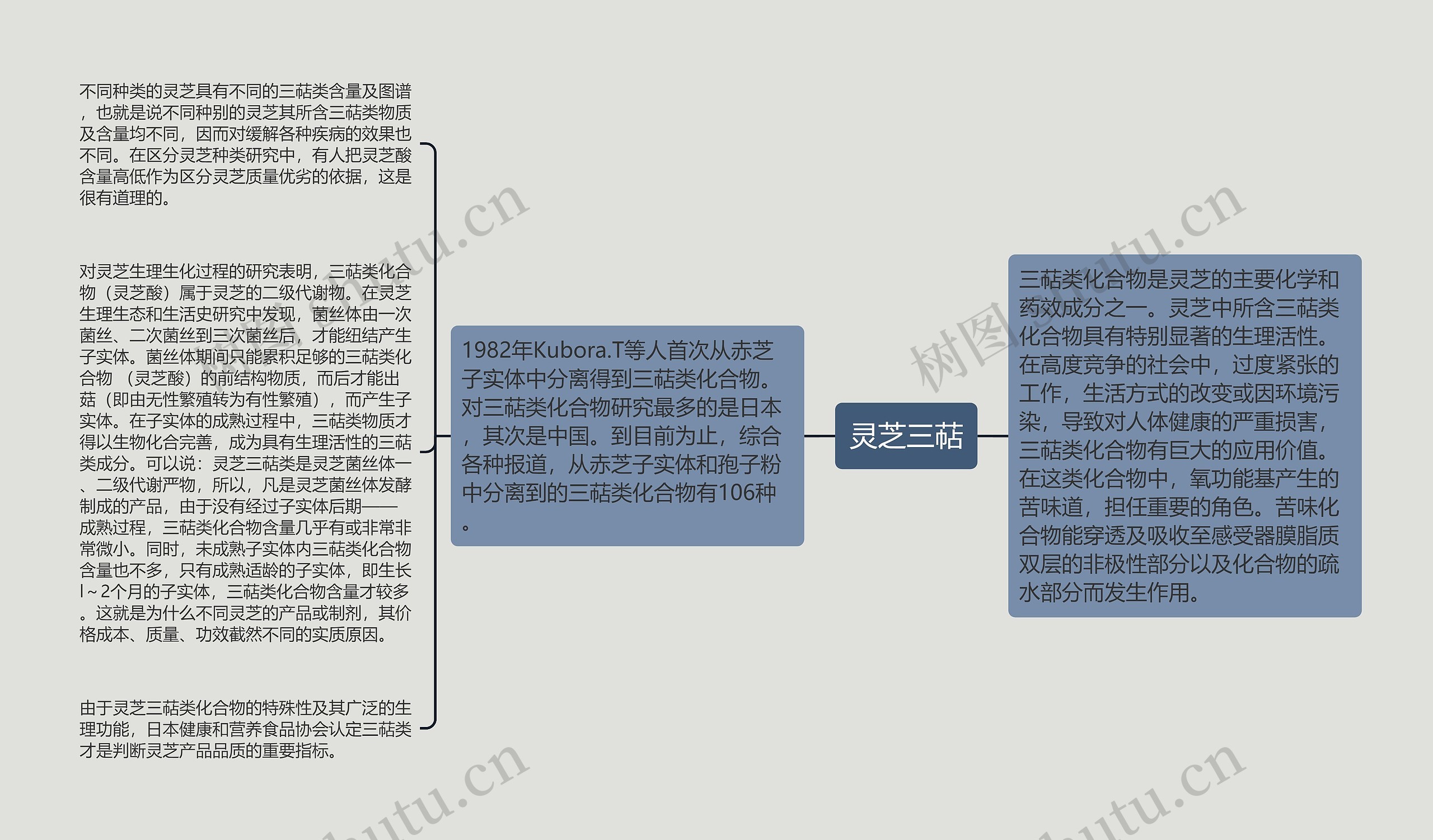 灵芝三萜 灵芝三萜