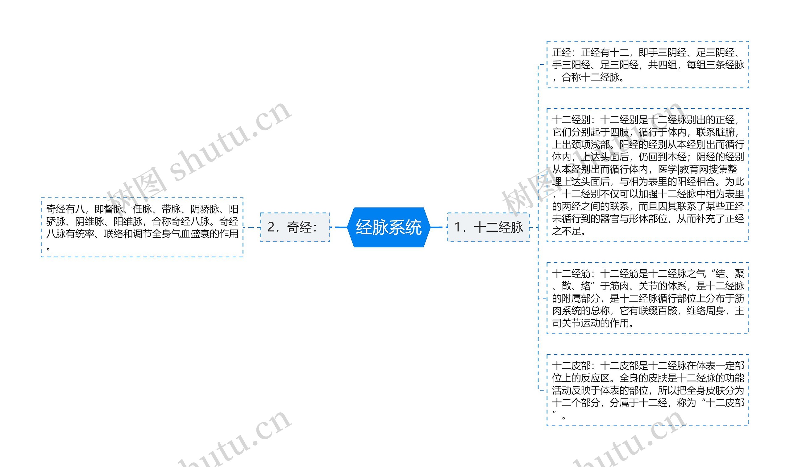 经脉系统思维导图