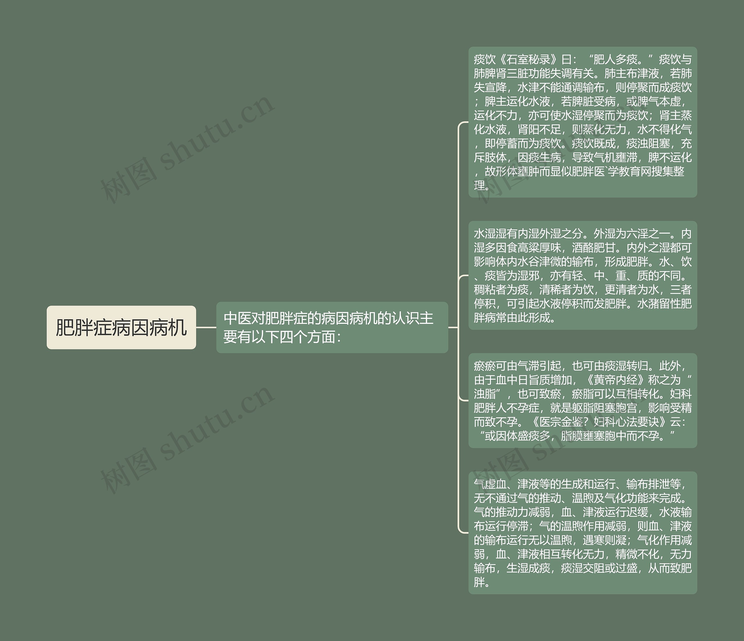 肥胖症病因病机思维导图