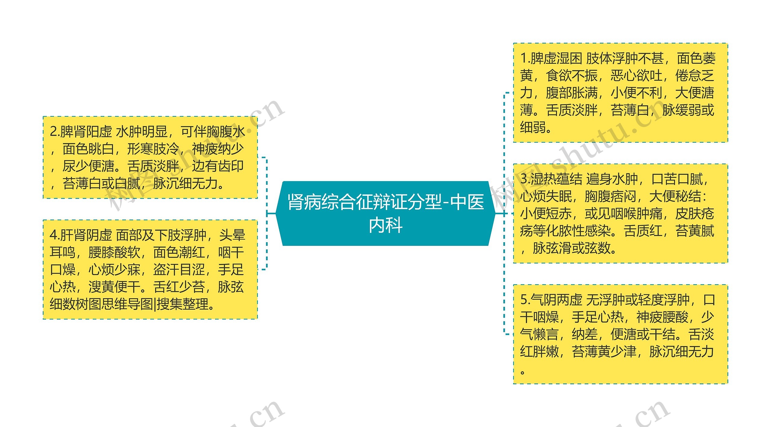 肾病综合征辩证分型-中医内科思维导图