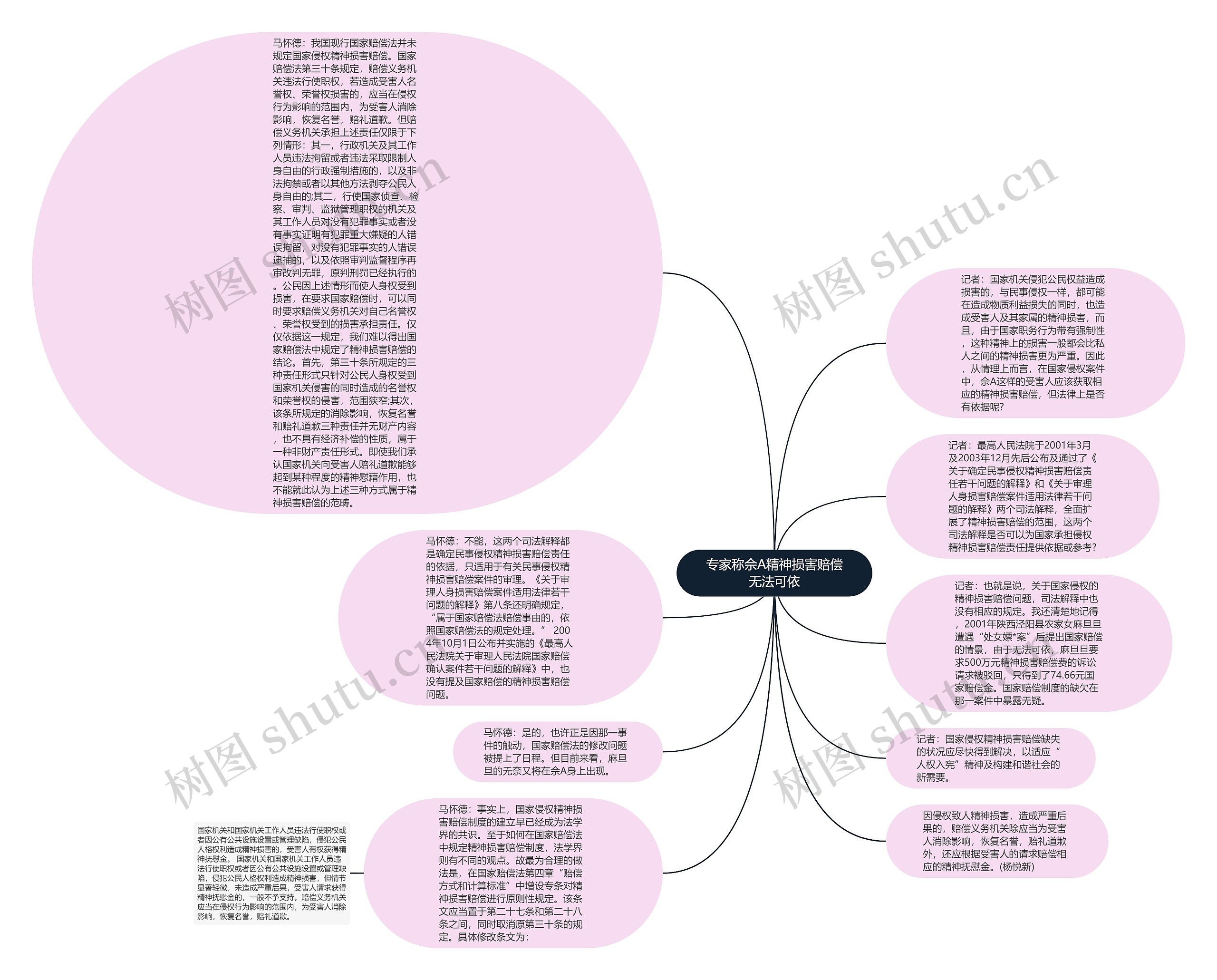 专家称佘A精神损害赔偿无法可依思维导图