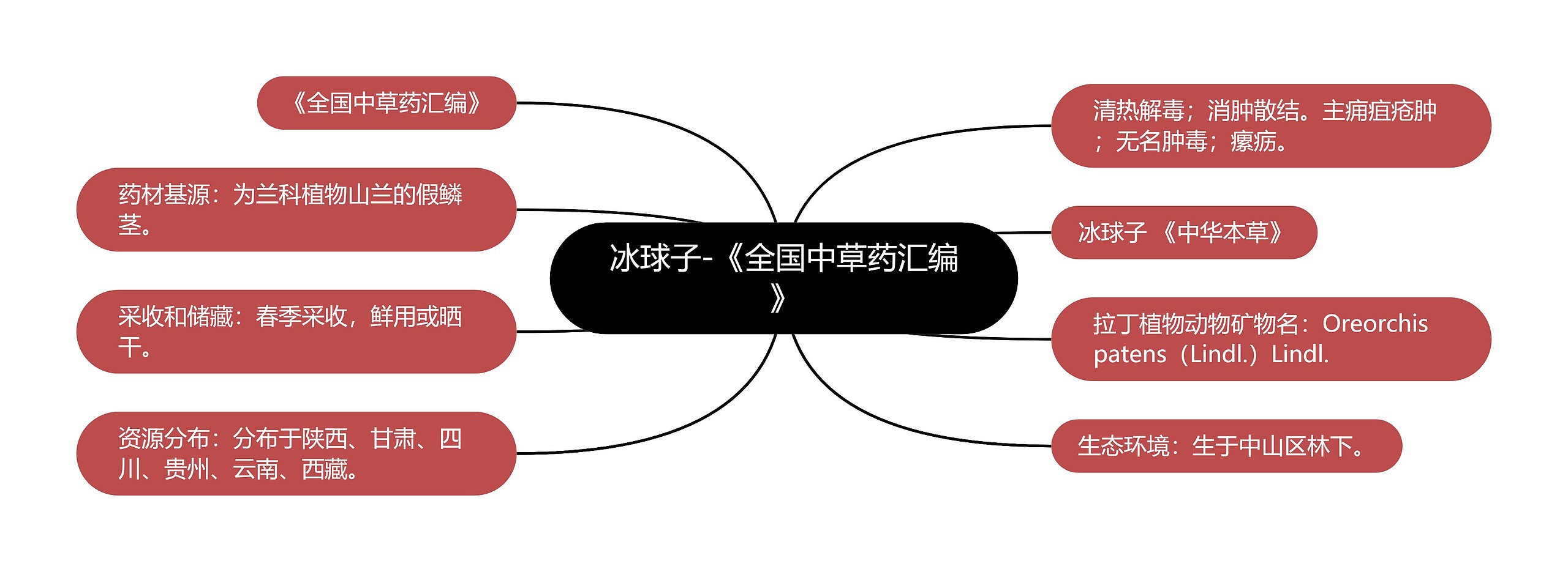 冰球子-《全国中草药汇编》 冰球子-《全国中草药汇编》