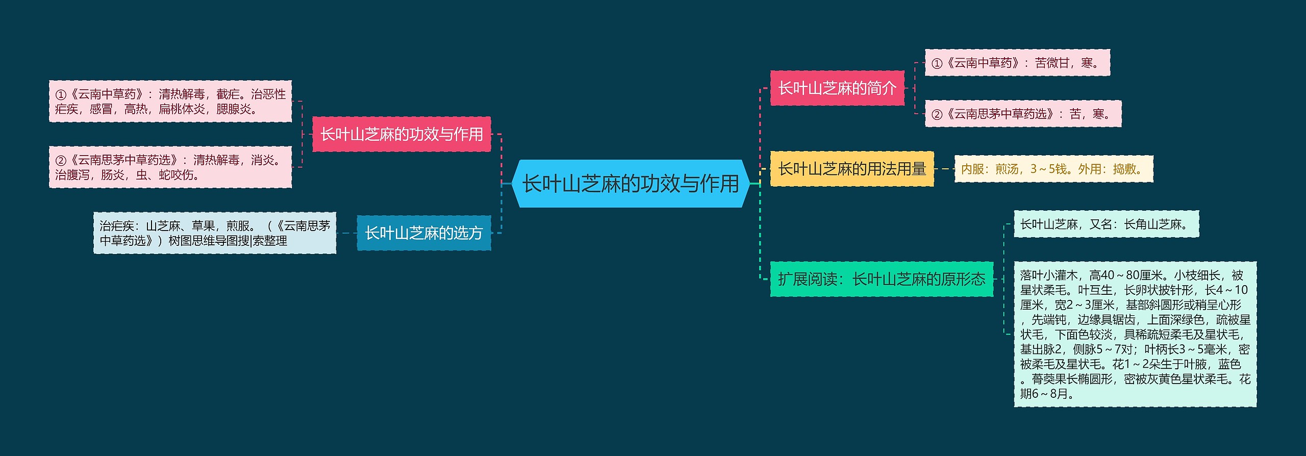 长叶山芝麻的功效与作用思维导图