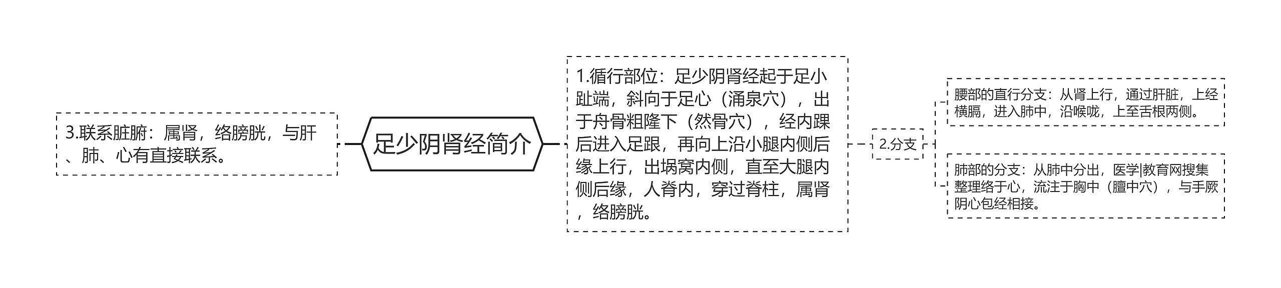 足少阴肾经简介