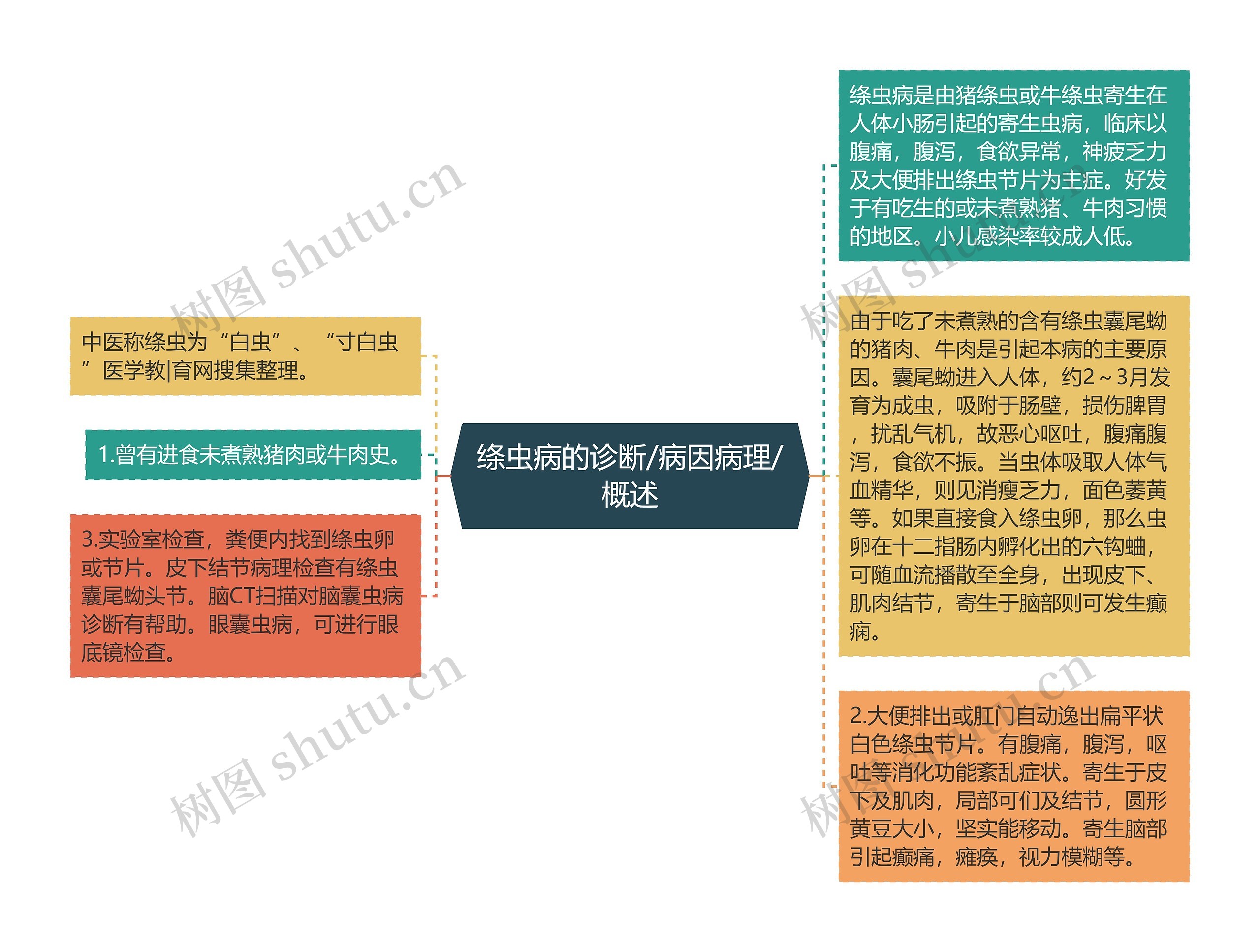 绦虫病的诊断/病因病理/概述思维导图