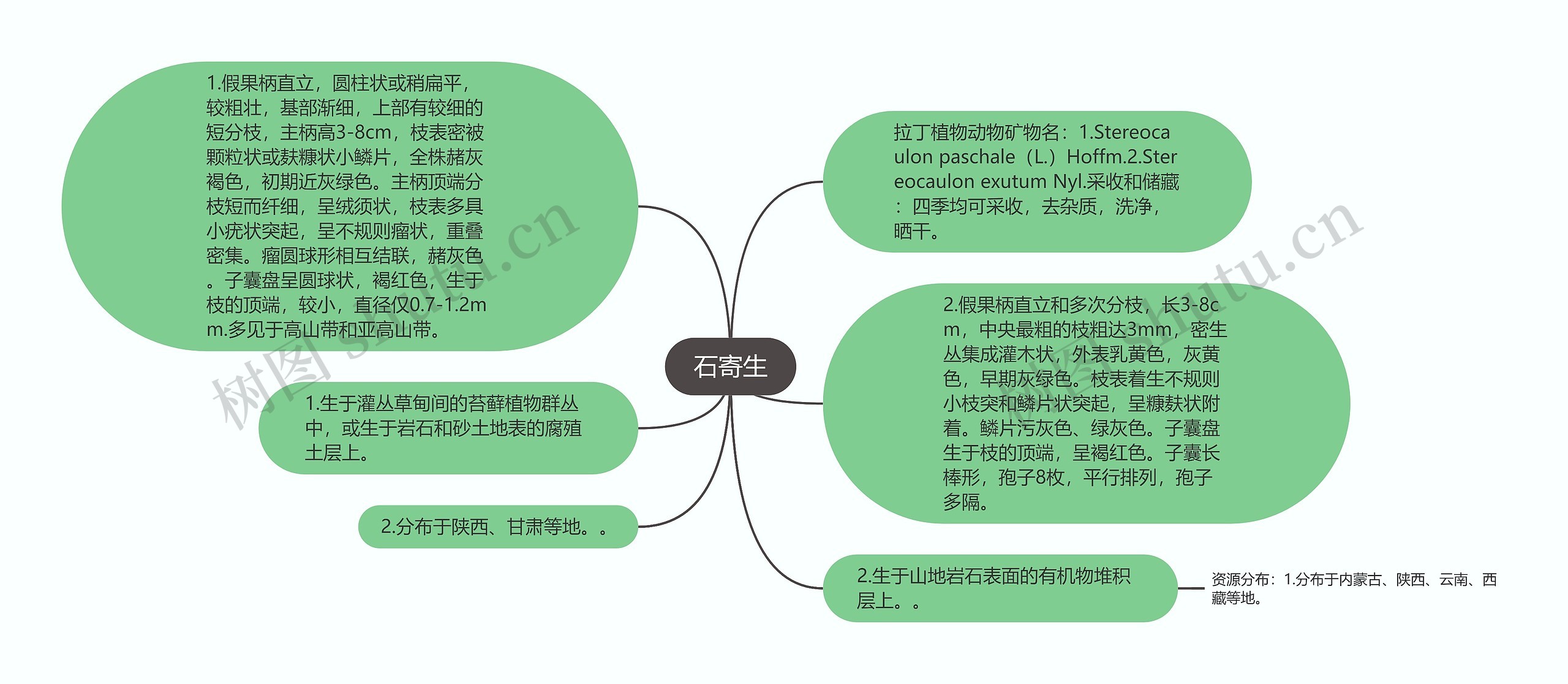 石寄生思维导图