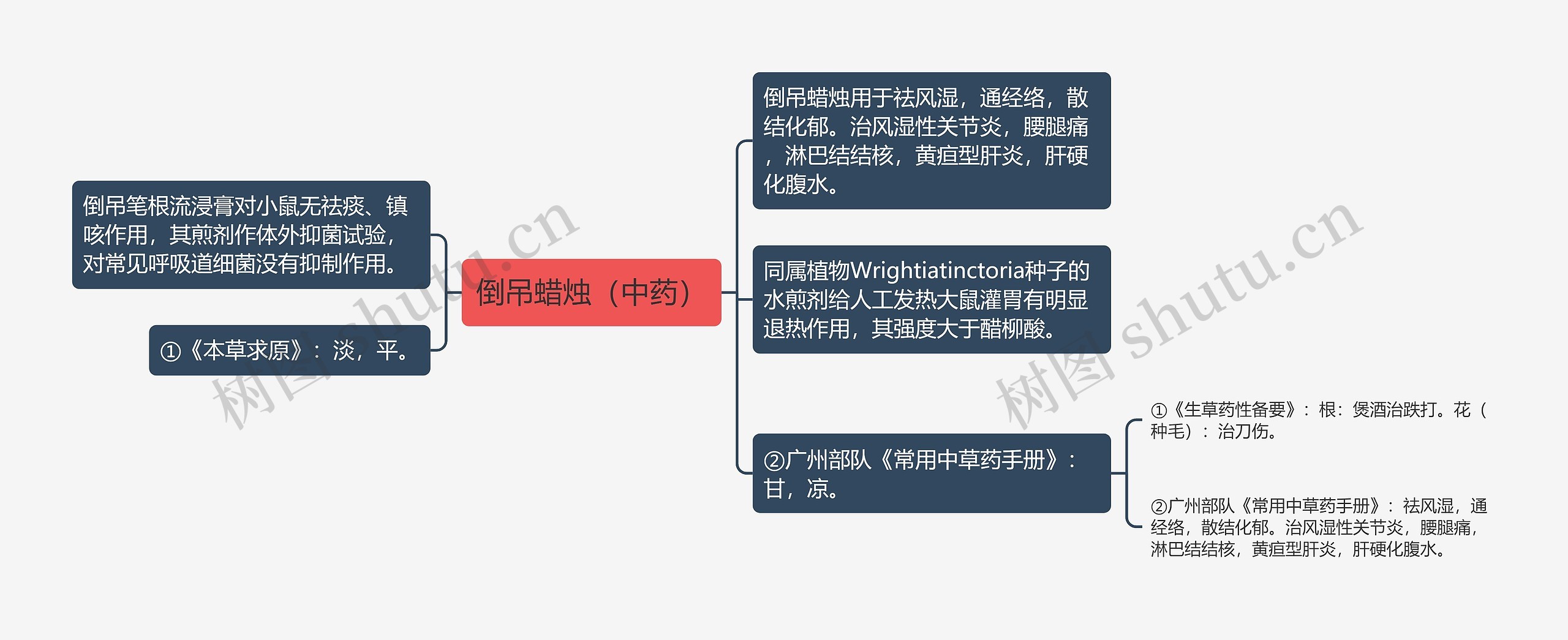 倒吊蜡烛（中药）思维导图