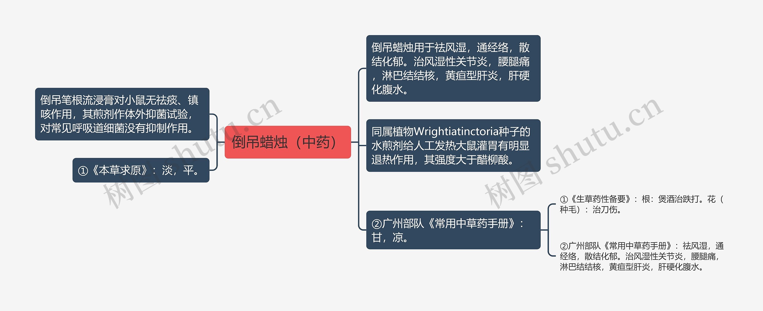 倒吊蜡烛(中药) 倒吊蜡烛(中药)