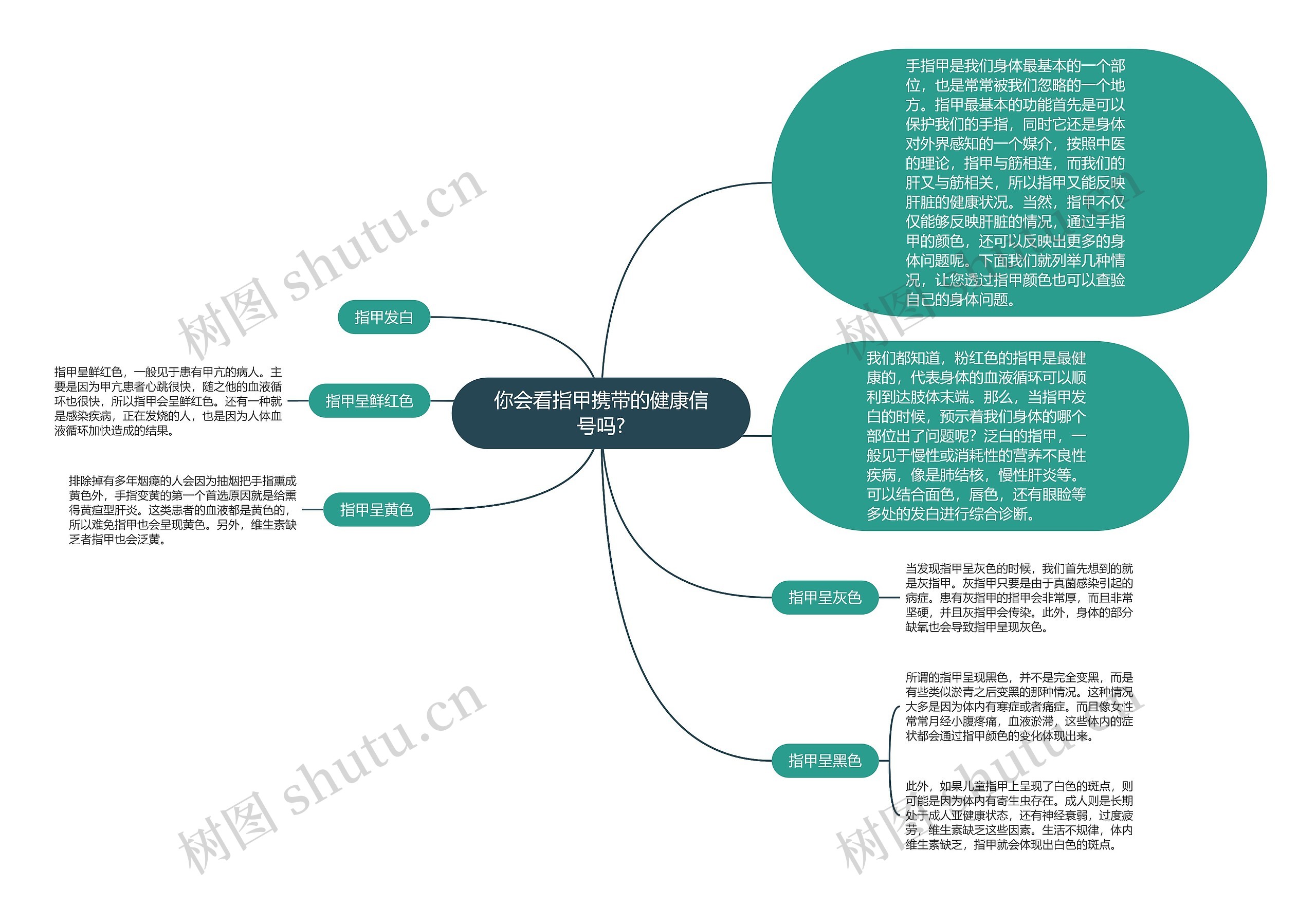 你会看指甲携带的健康信号吗?思维导图