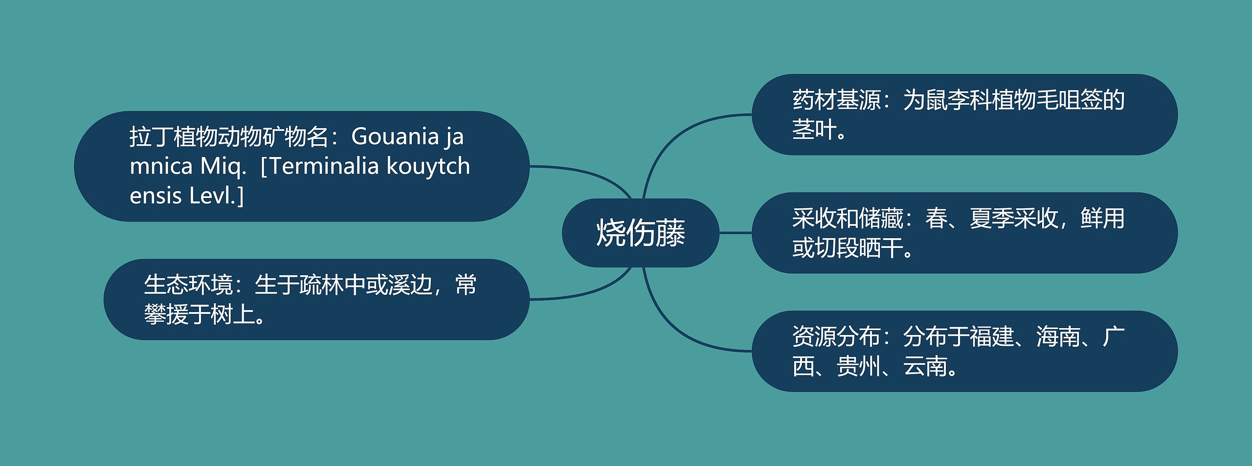 烧伤藤思维导图