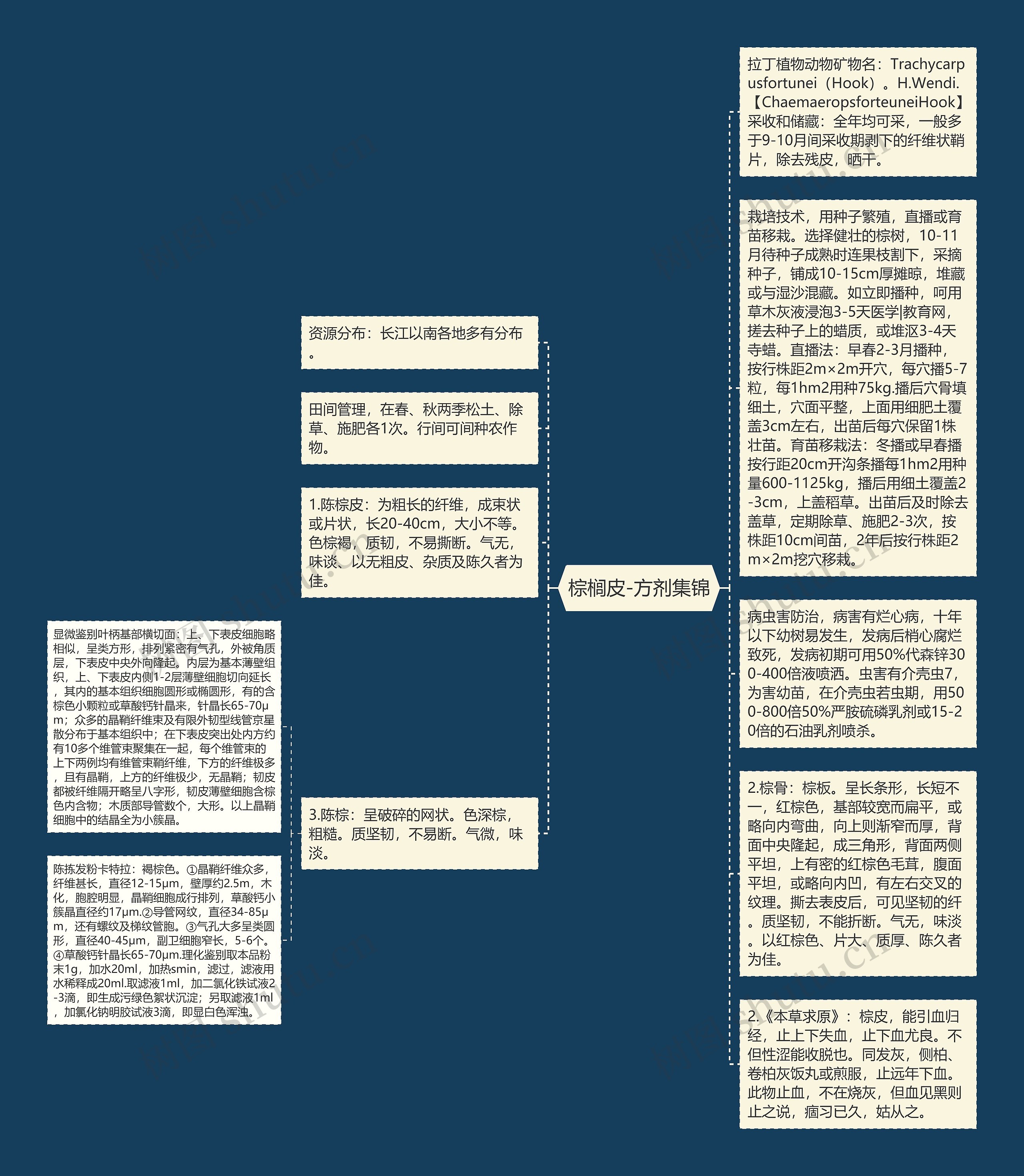 棕榈皮-方剂集锦思维导图