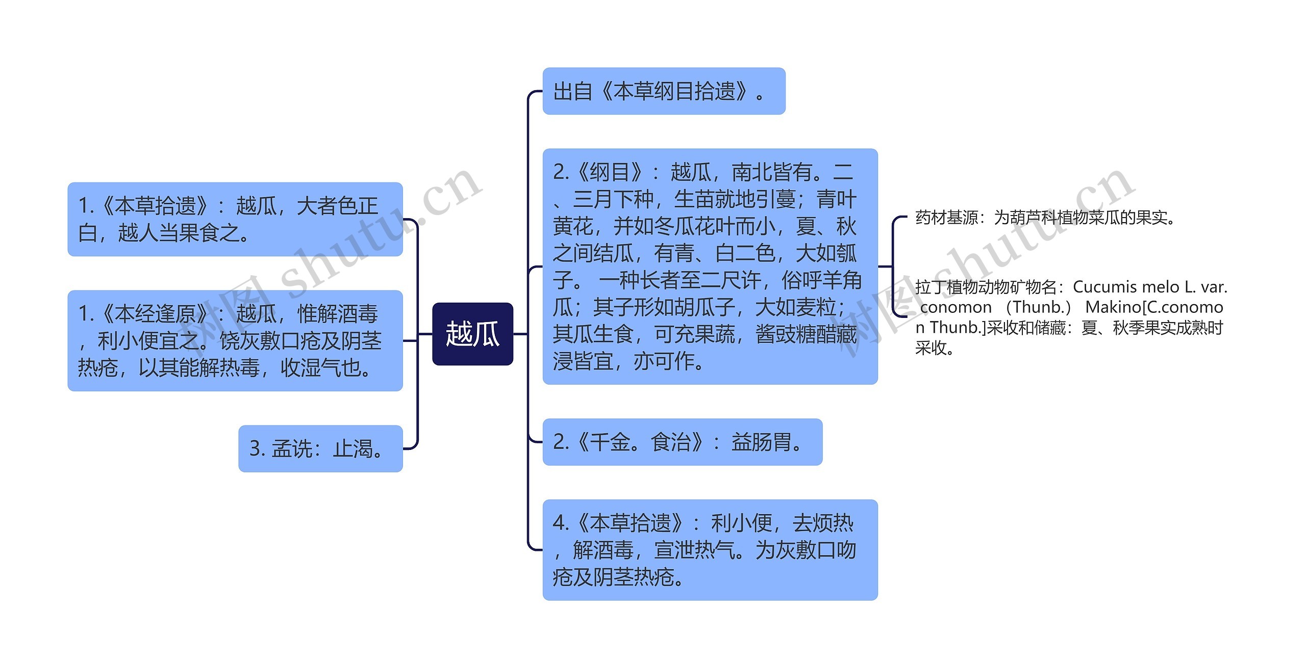 越瓜思维导图