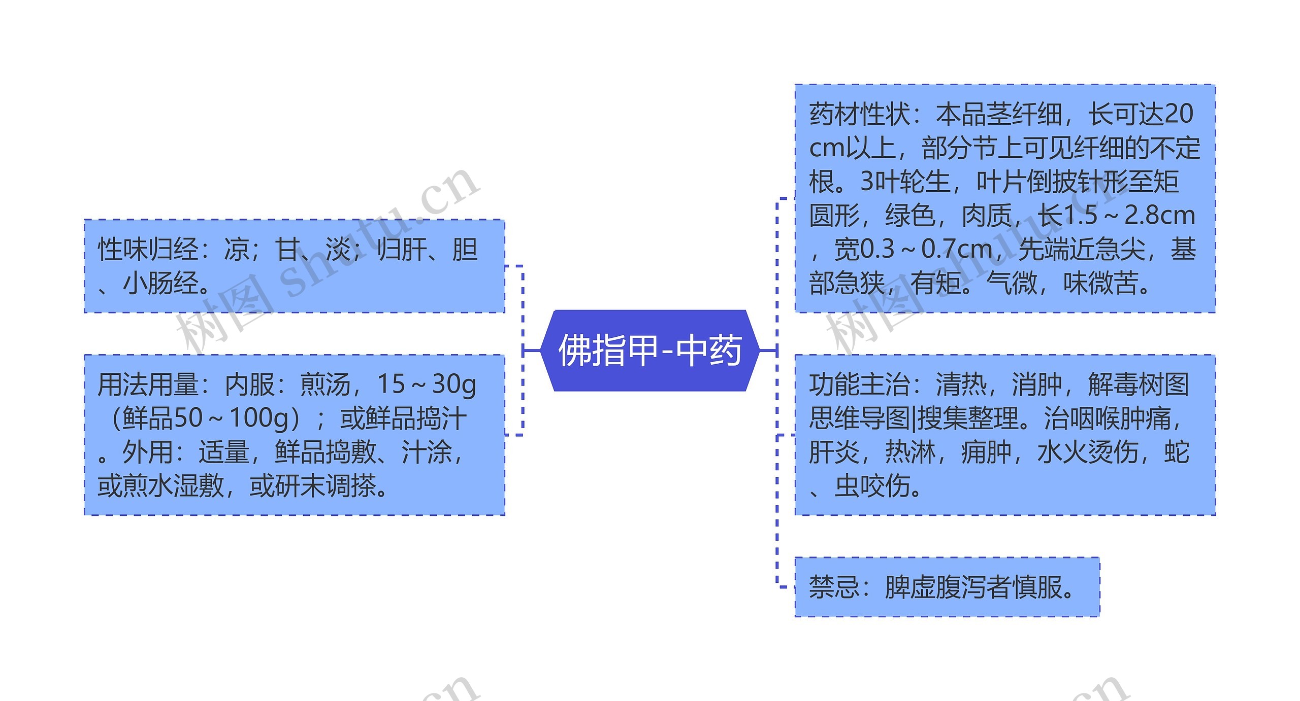 佛指甲-中药思维导图