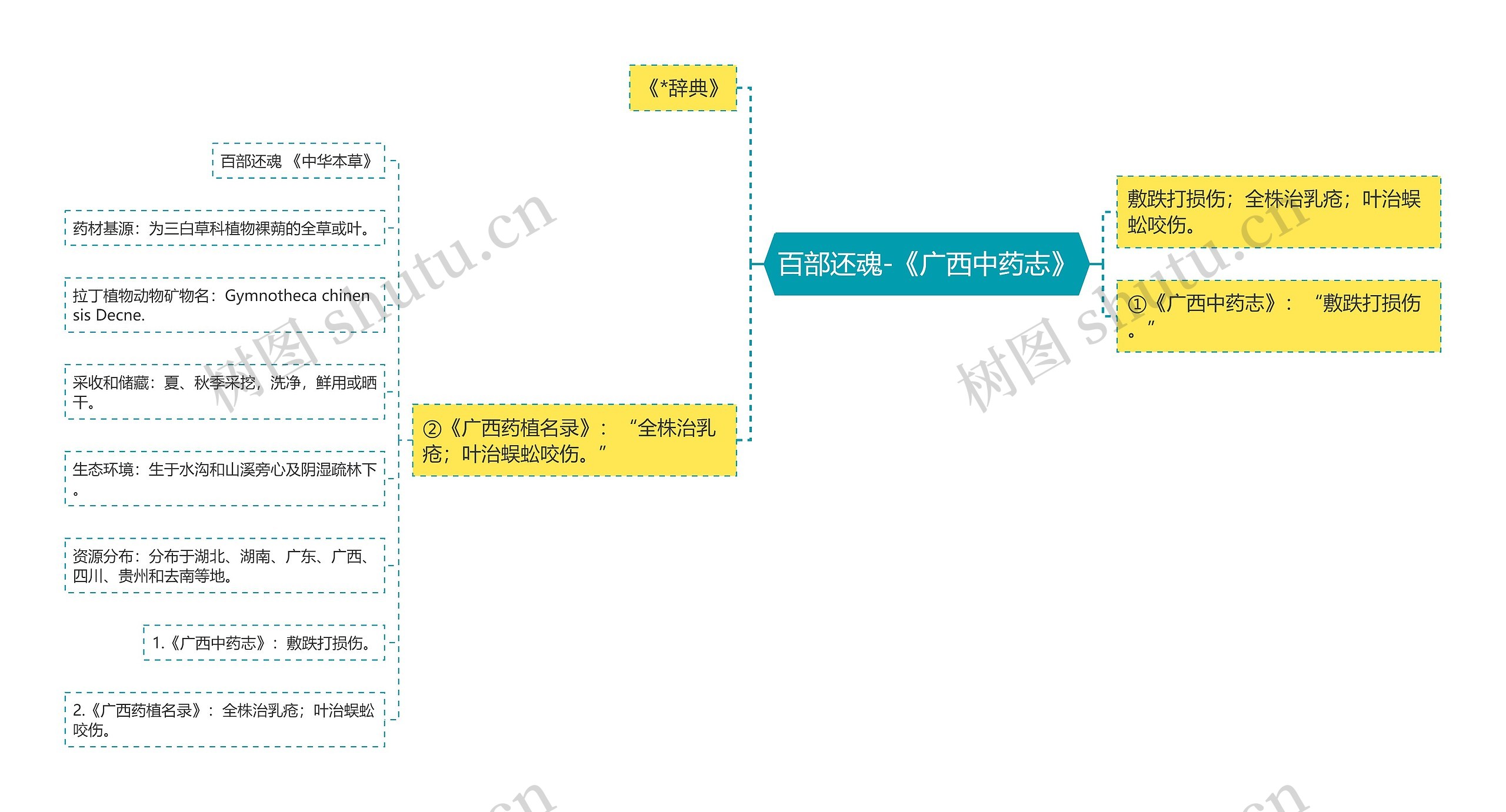 百部还魂-《广西中药志》 百部还魂-《广西中药志》