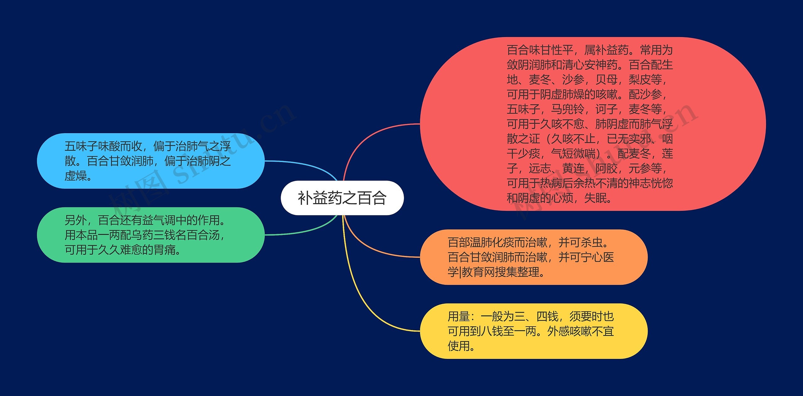 补益药之百合思维导图