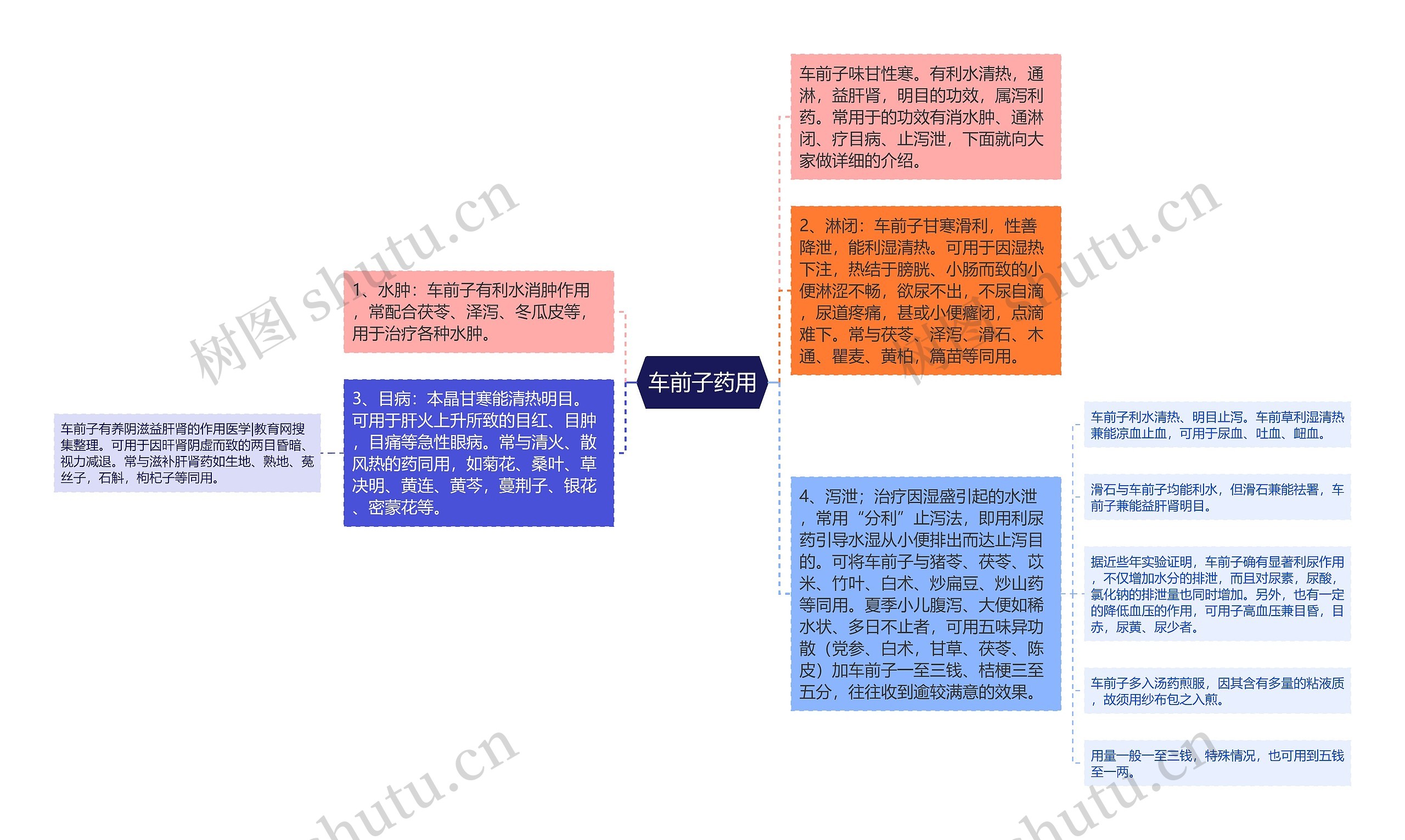 车前子药用思维导图