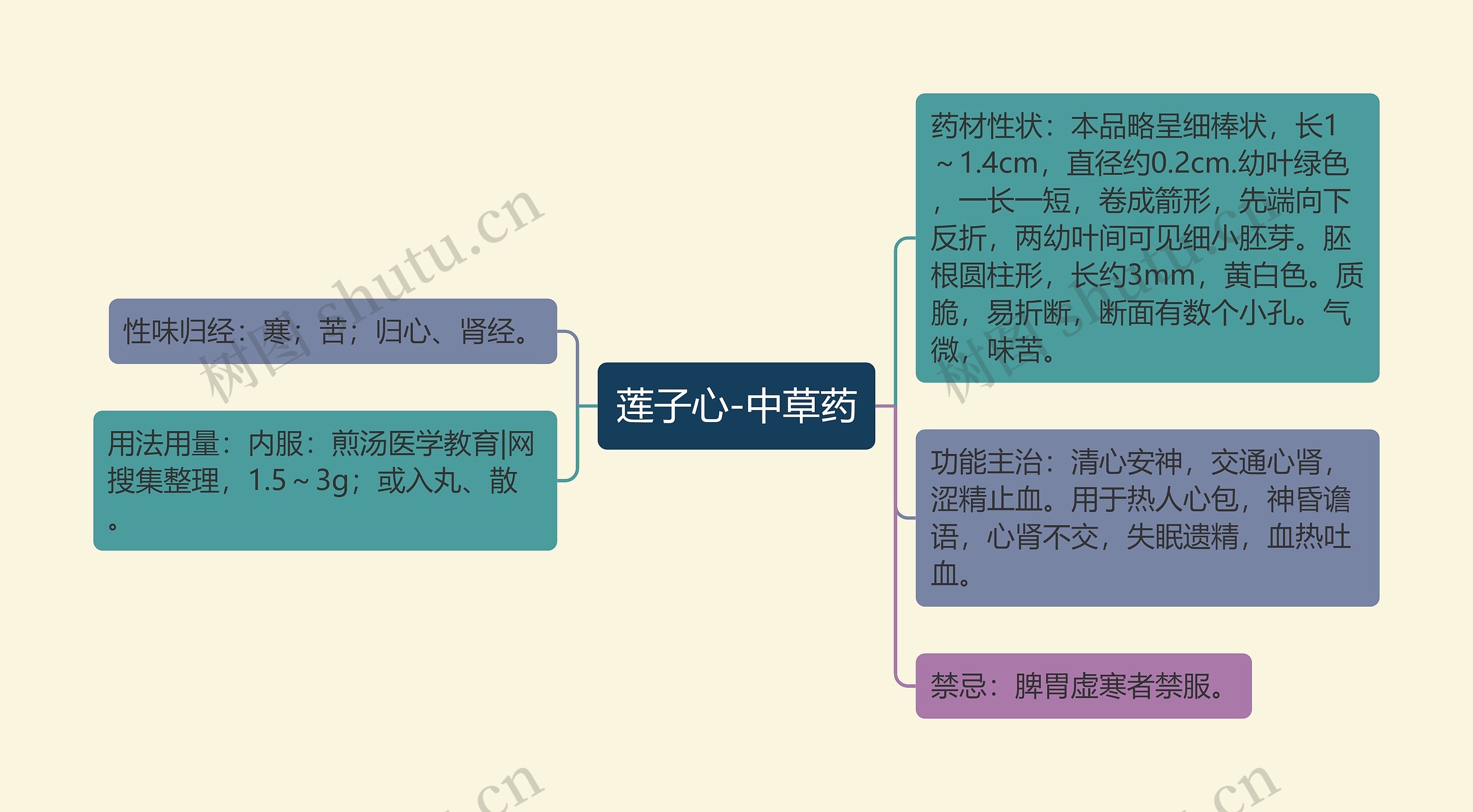 莲子心-中草药思维导图