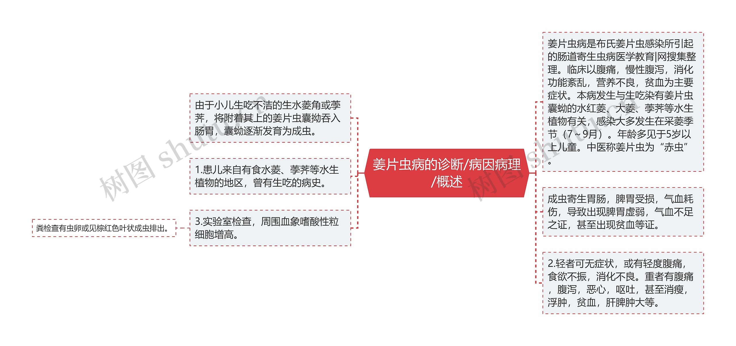 姜片虫病的诊断/病因病理/概述 姜片虫病的诊断/病因病理/概述