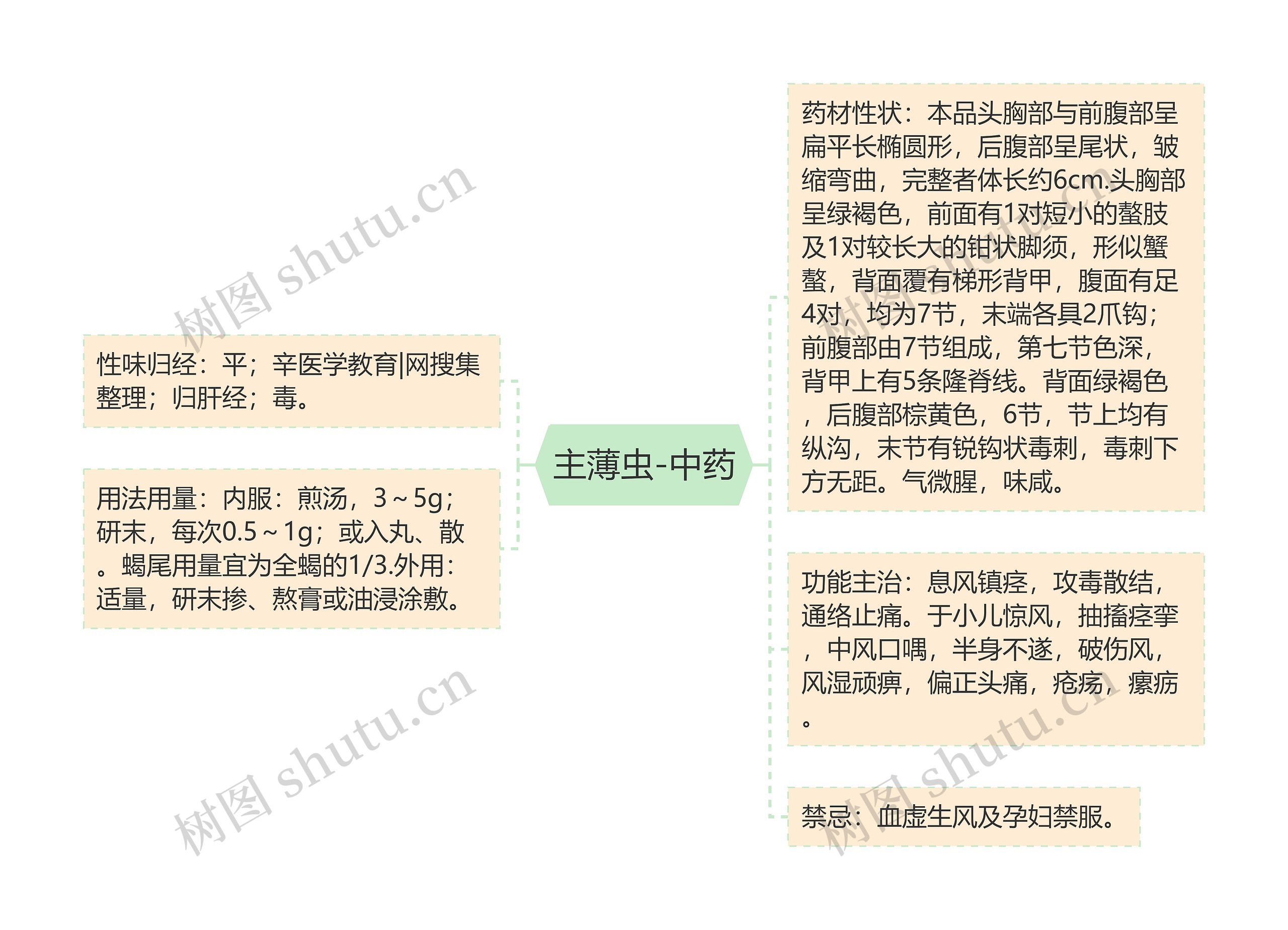 主薄虫-中药 主薄虫-中药