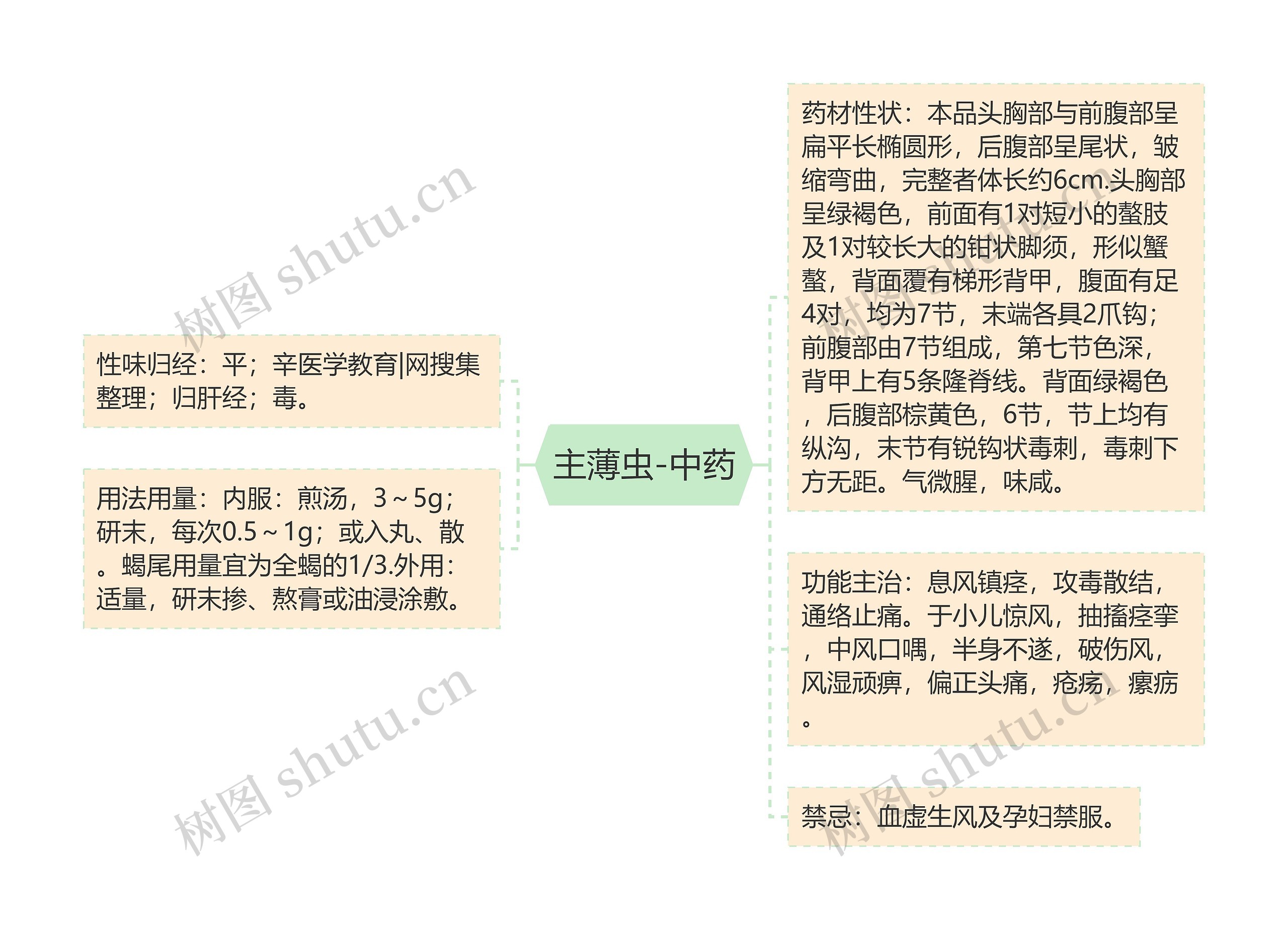 主薄虫-中药思维导图