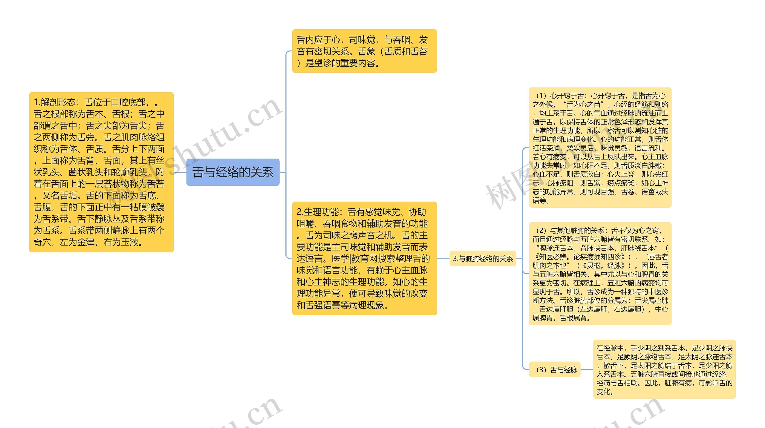 舌与经络的关系