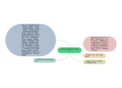 肺脓肿的病理病因/诊断要点