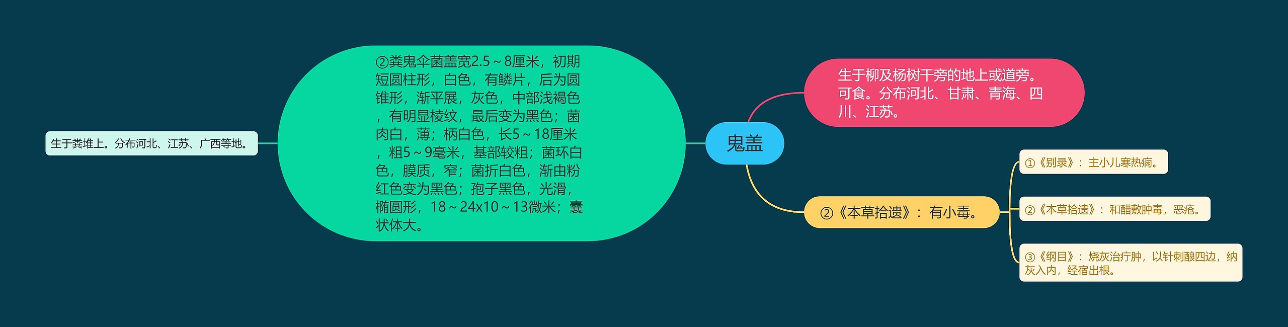 鬼盖思维导图