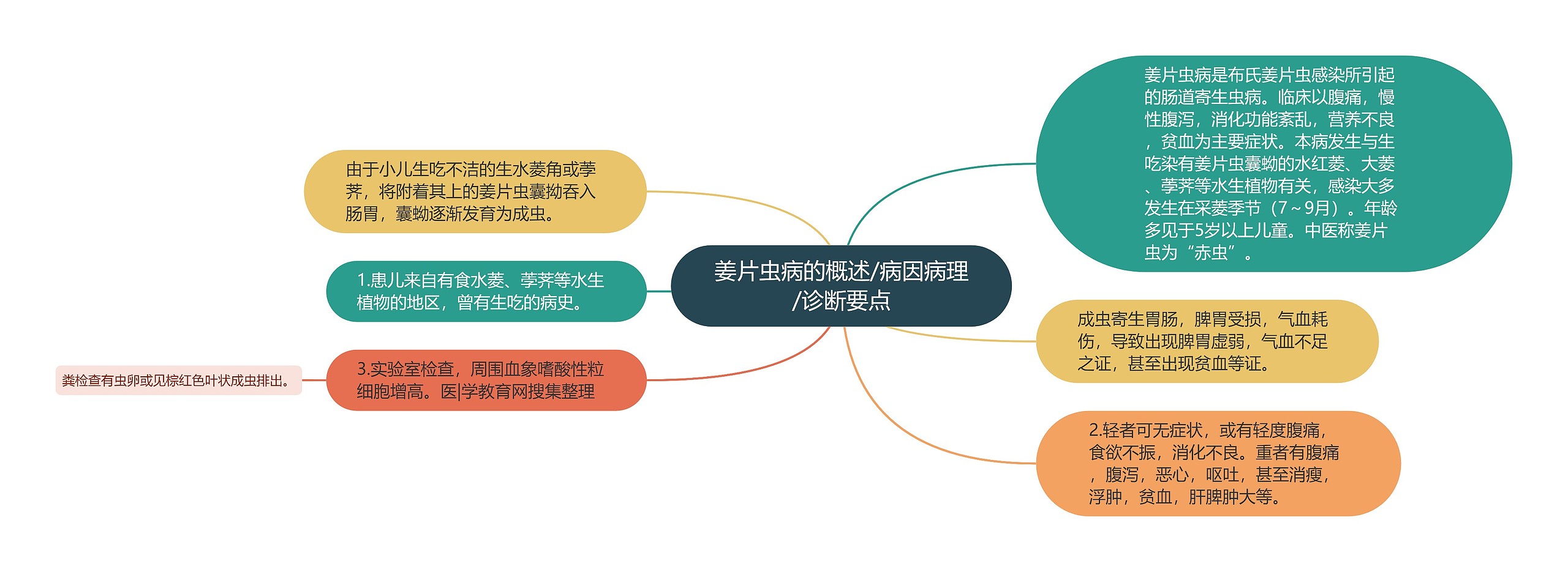 姜片虫病的概述/病因病理/诊断要点 姜片虫病的概述/病因病理/诊断要点