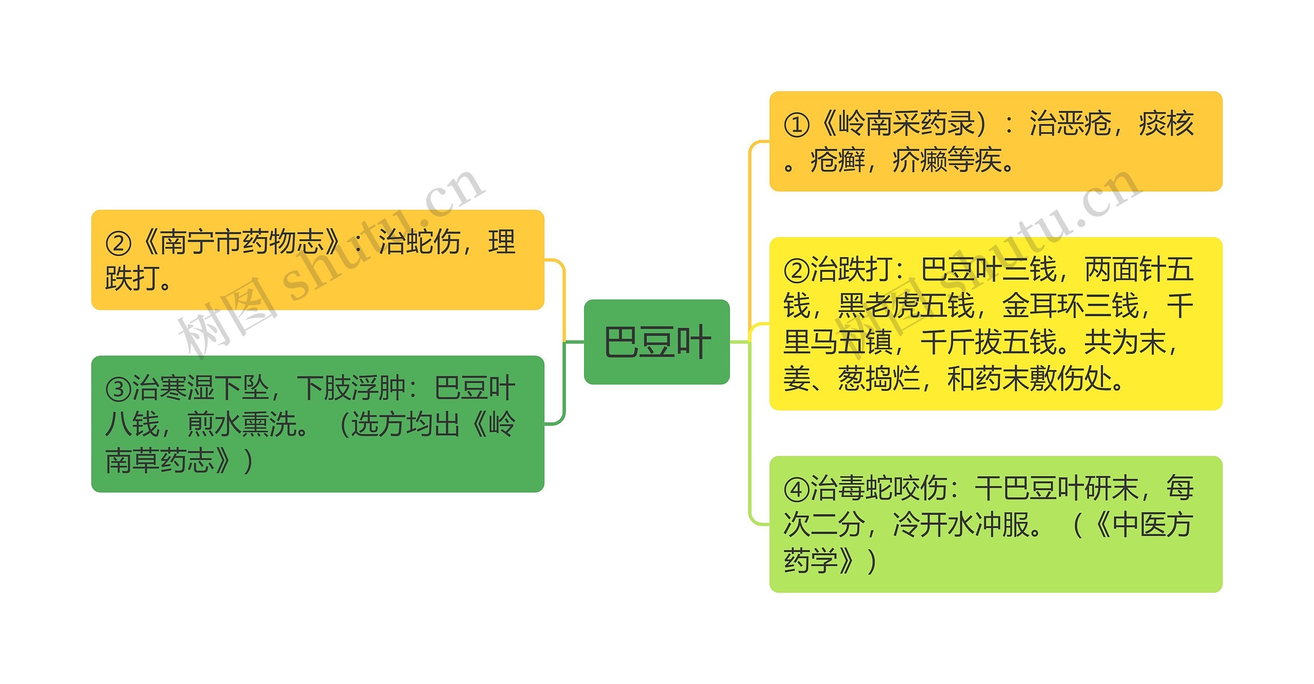 巴豆叶思维导图