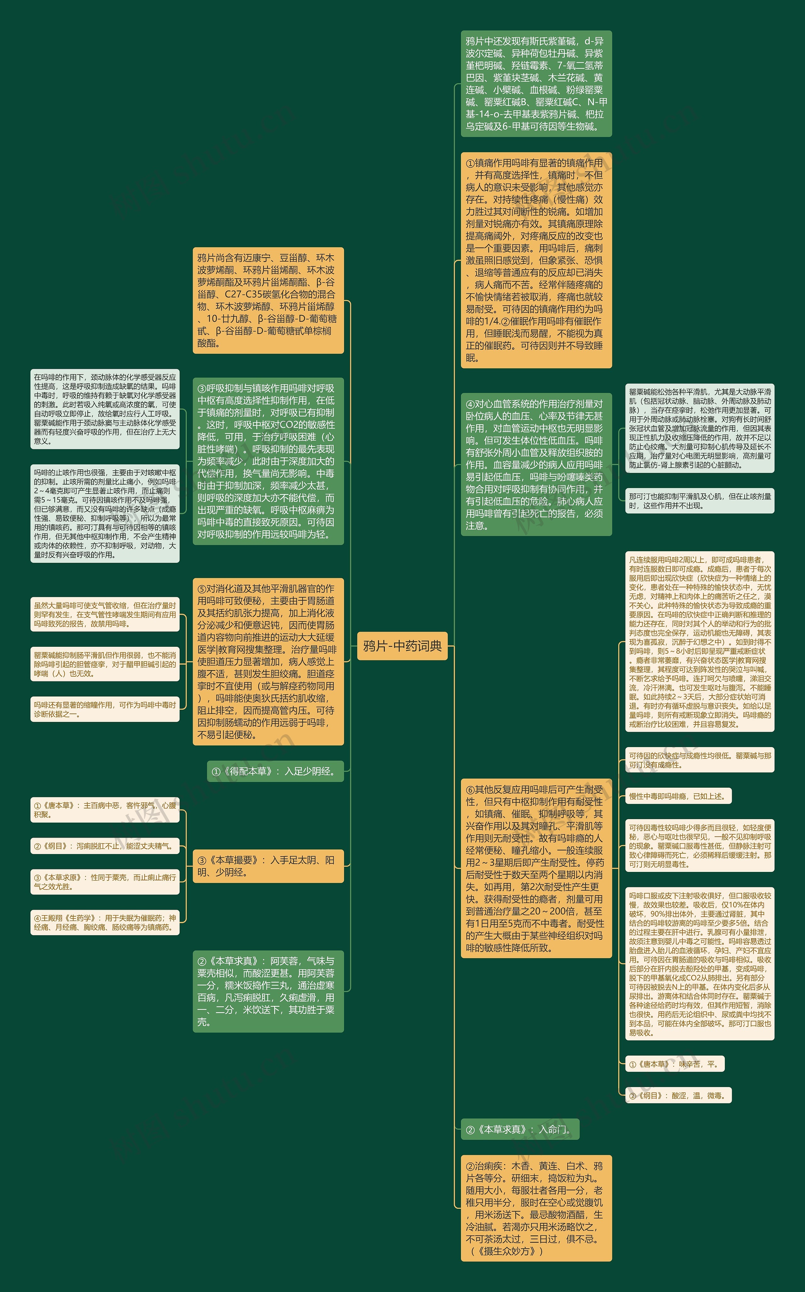 鸦片-中药词典思维导图