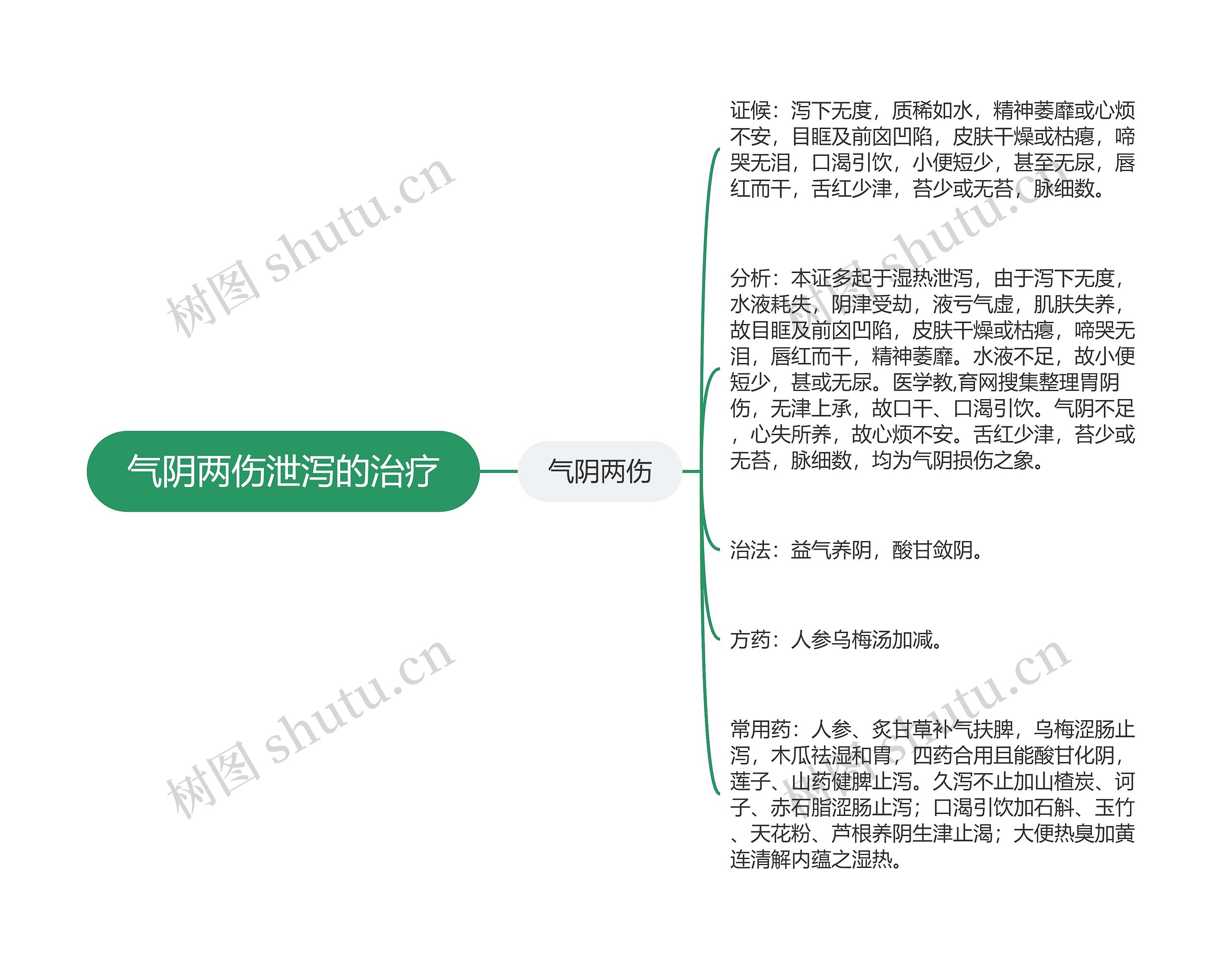 气阴两伤泄泻的治疗思维导图